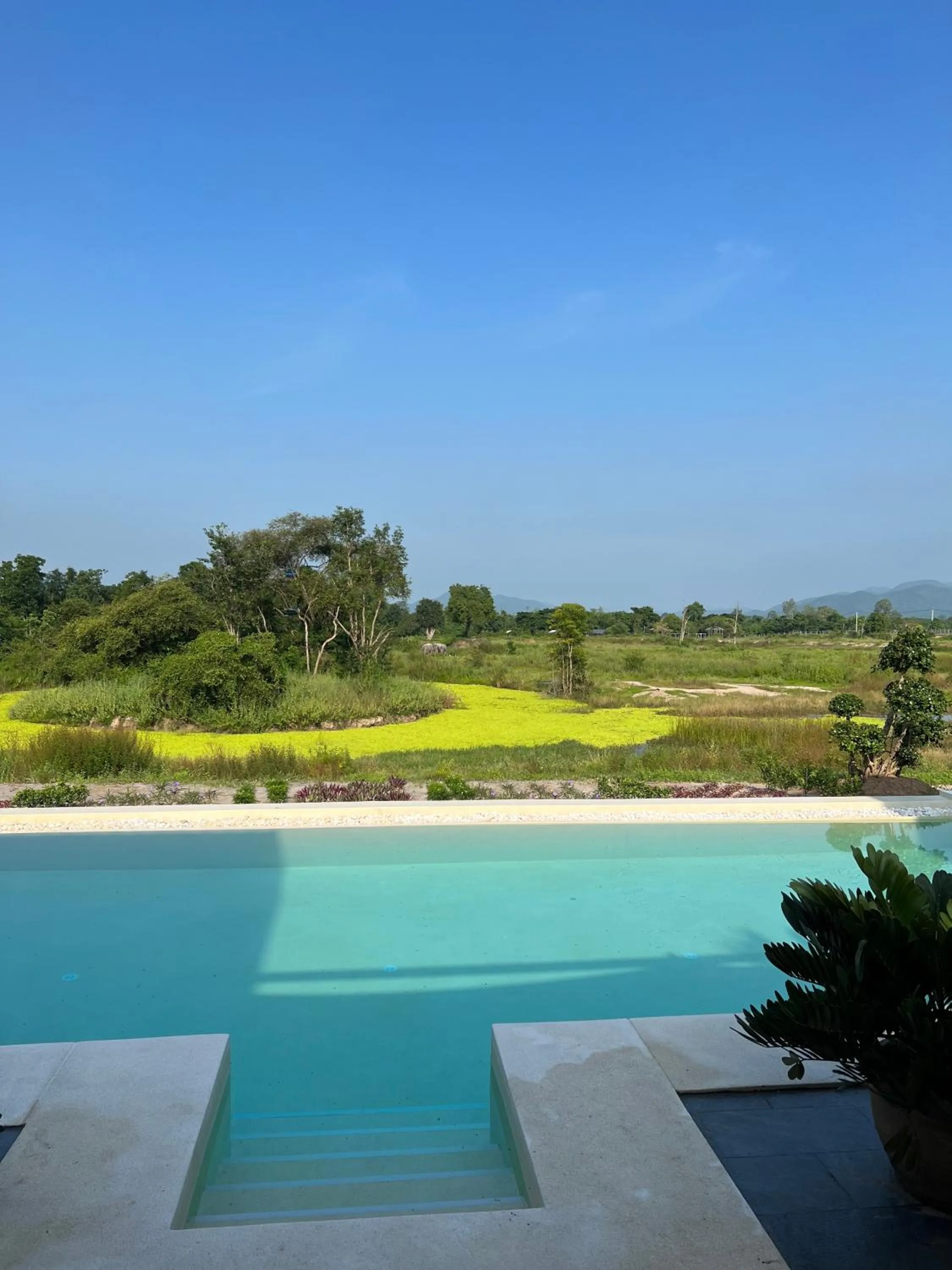 Natural landscape in I love phants Lodge