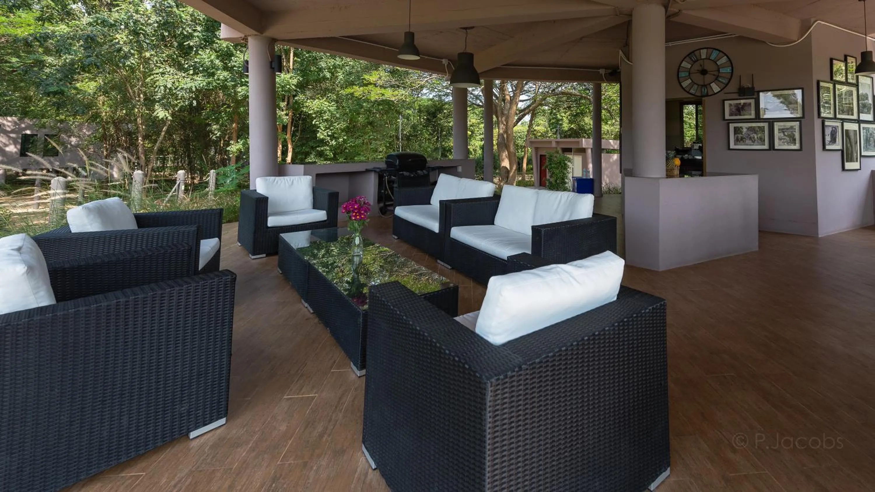 Lounge or bar in I love phants Lodge