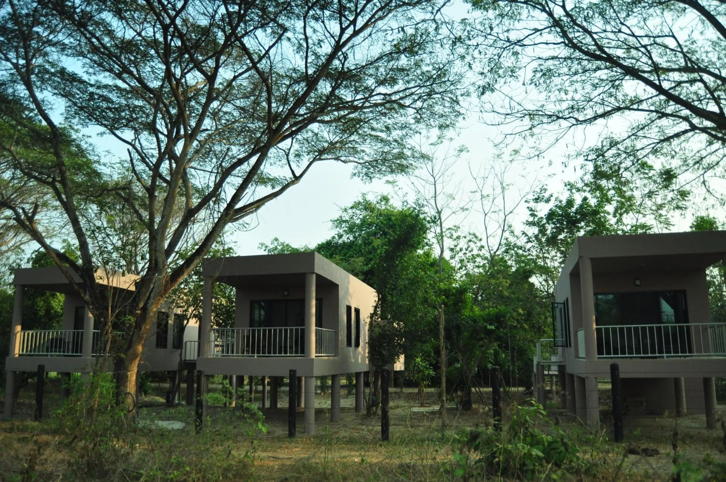 Balcony/Terrace in I love phants Lodge
