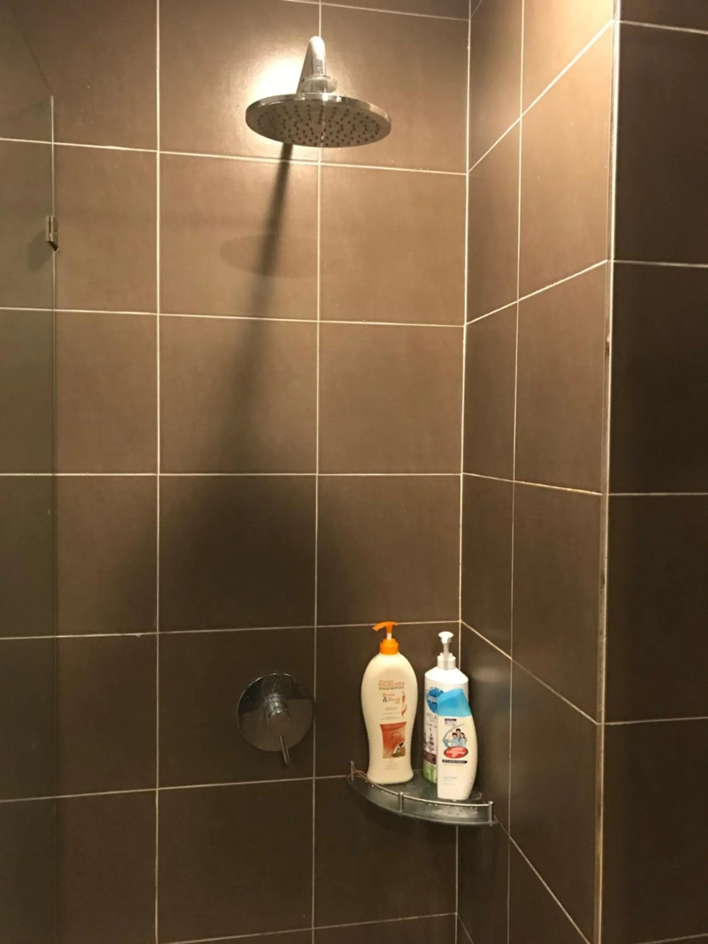 Gold Coast Morib Mickey House