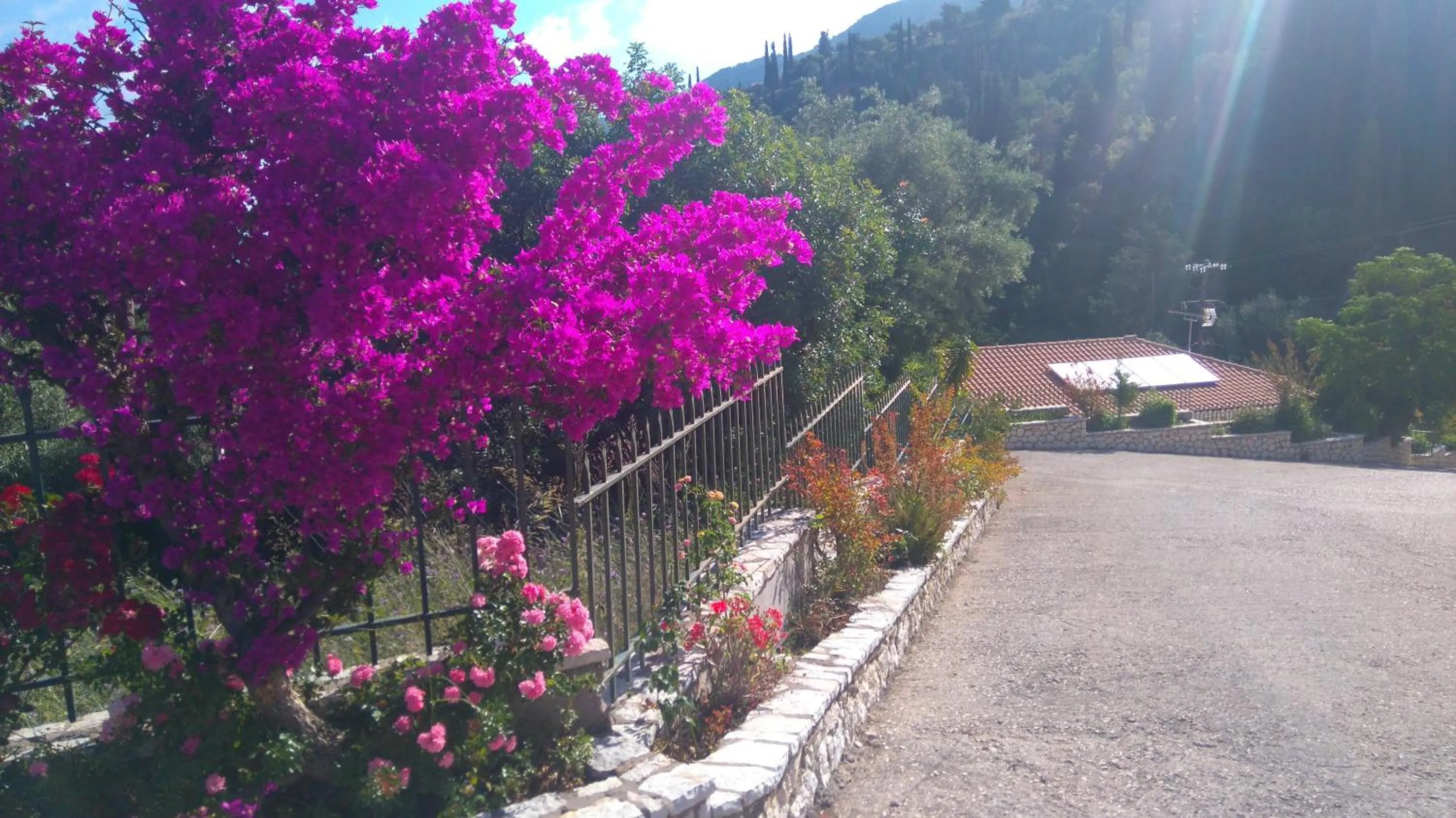 Other in Santa Marina Hotel