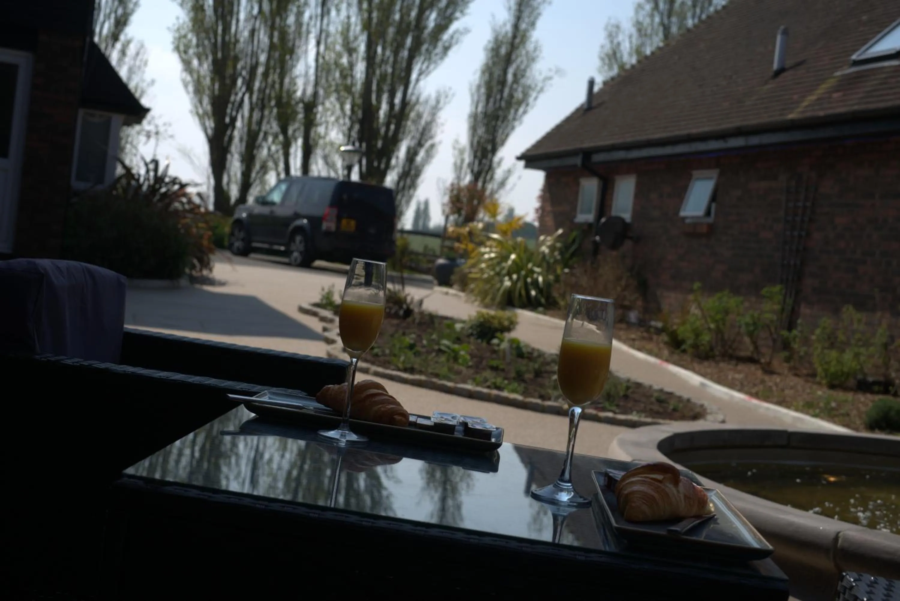 Garden in Winchelsea Lodge