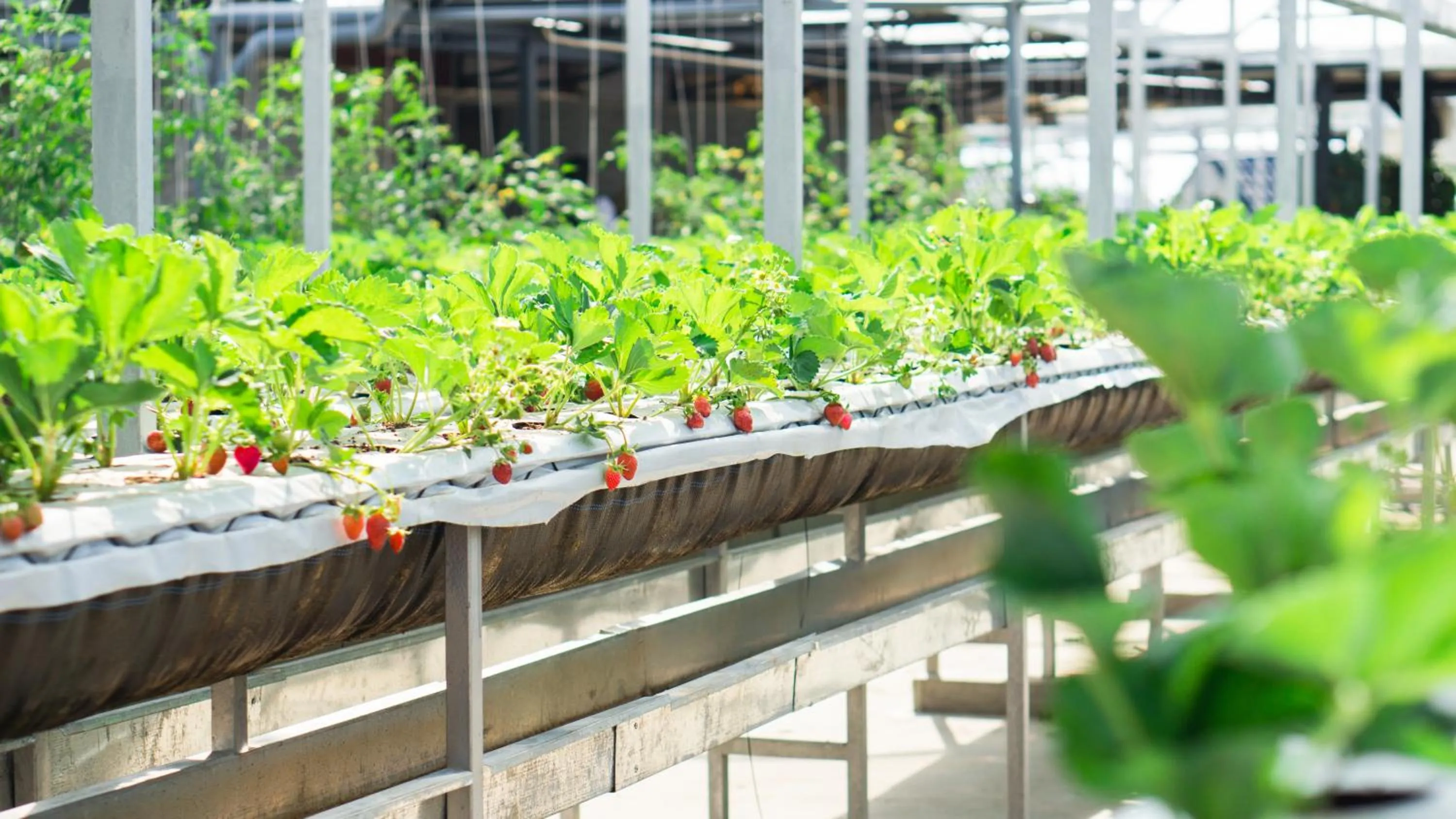 Day in Ladalat Hotel