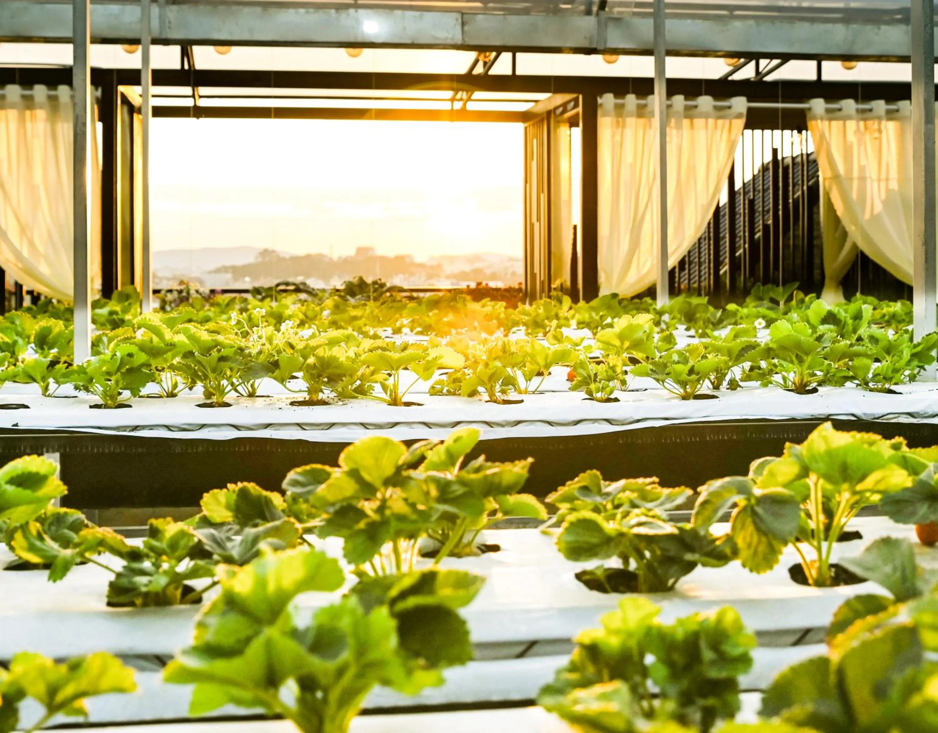 Day in Ladalat Hotel