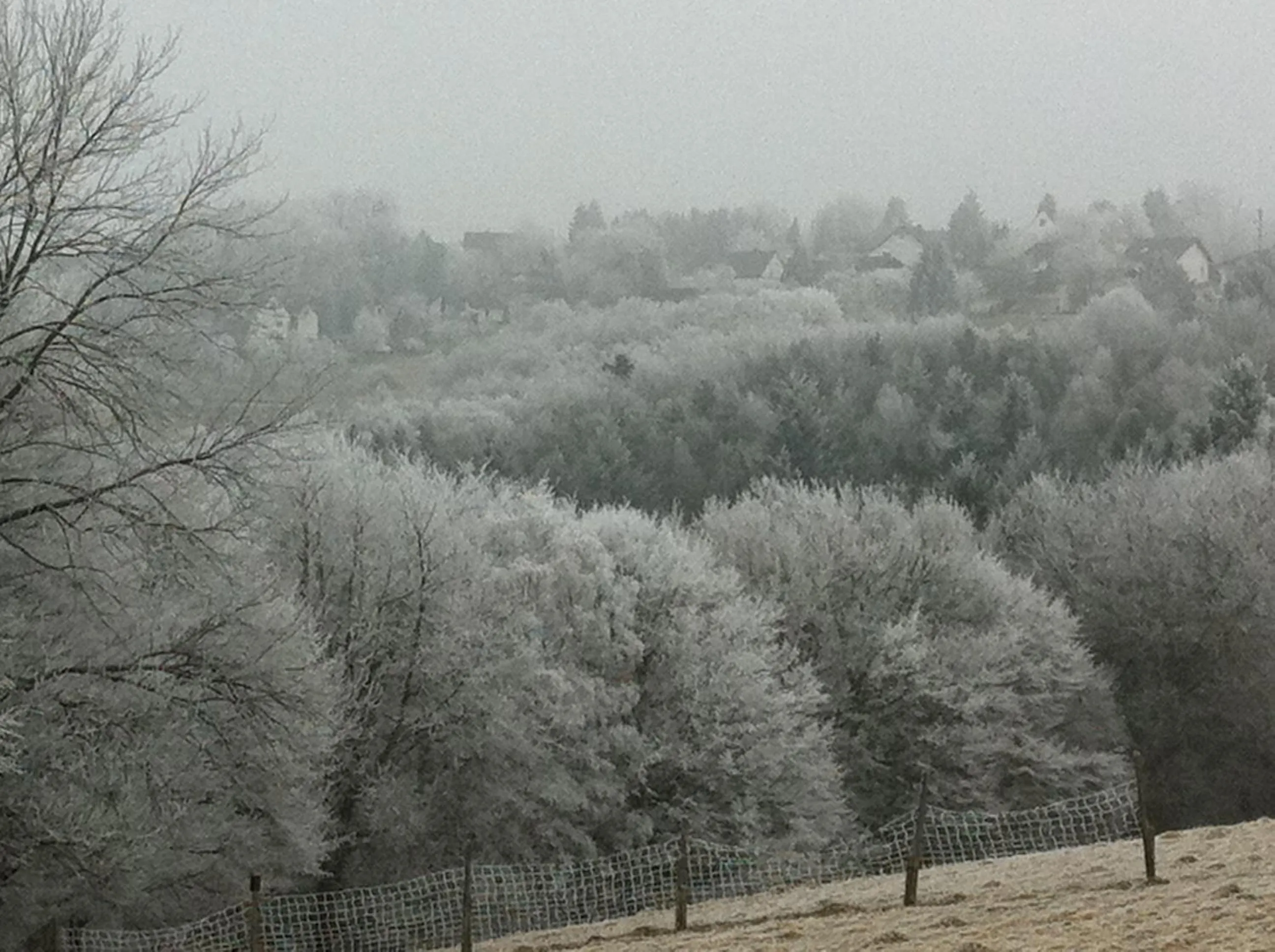 Winter in Landgasthof Zur Erholung