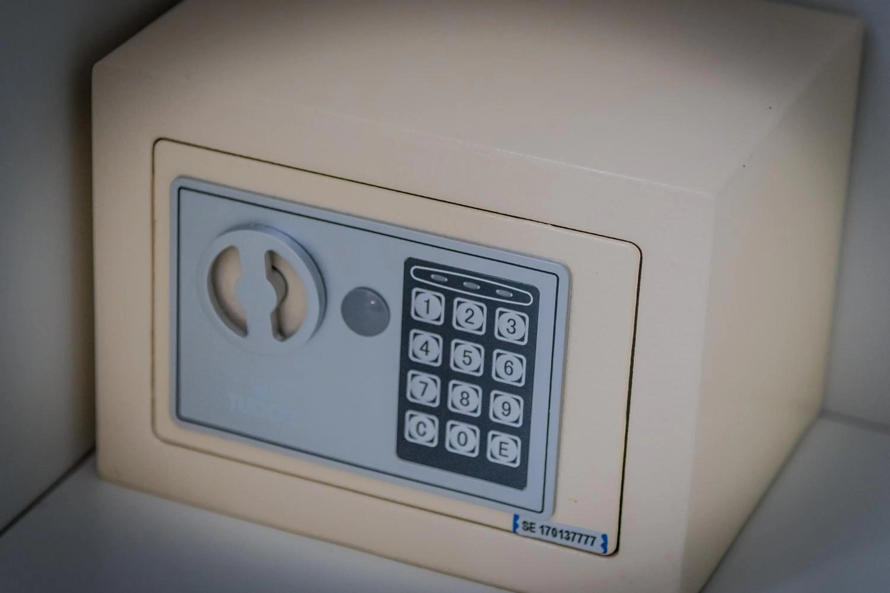 safe in Inside Roma Rooms