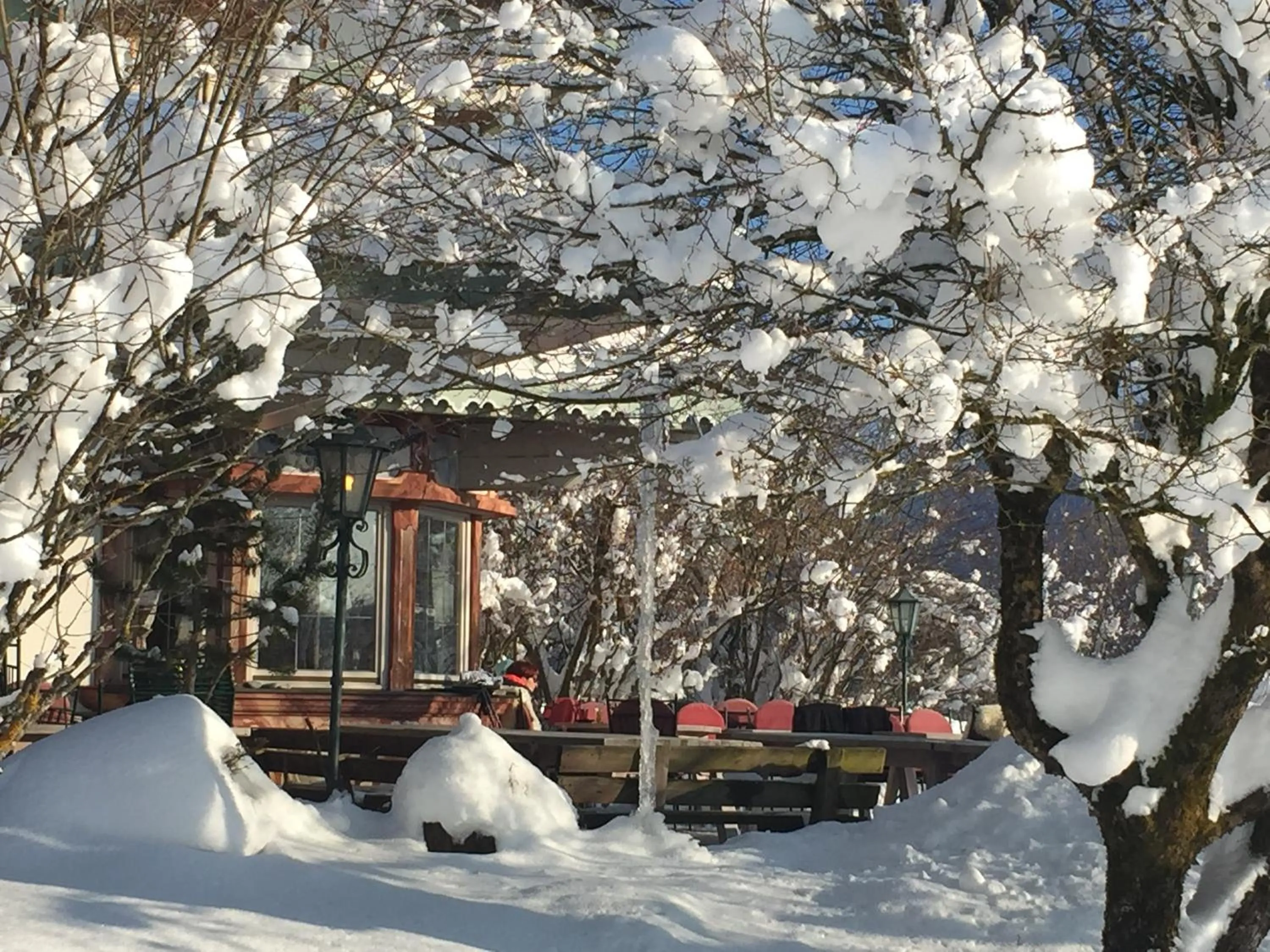 Skiing in DEVA Hotel Kaiserblick