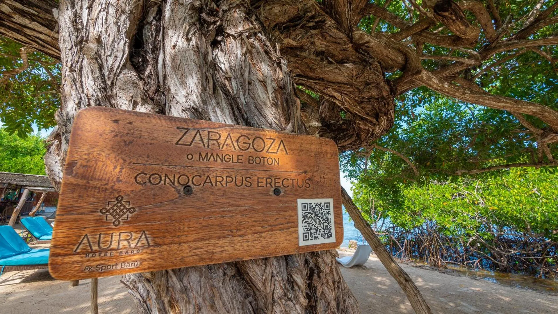 Garden in Aura Hotel Barú