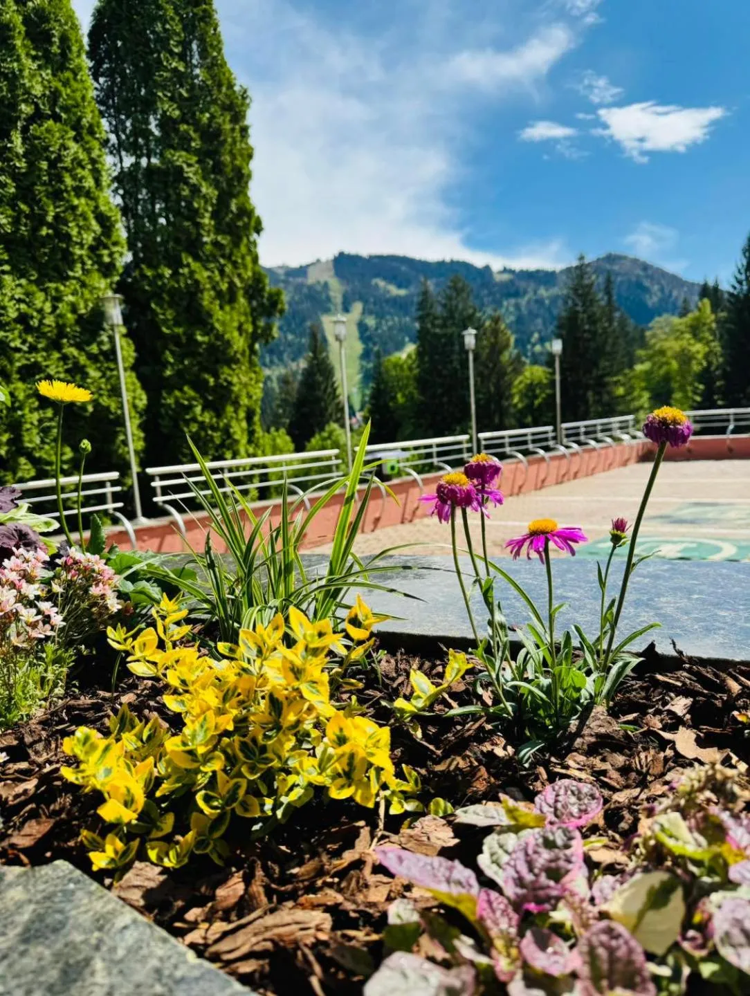 Day in Hotel Piatra Mare