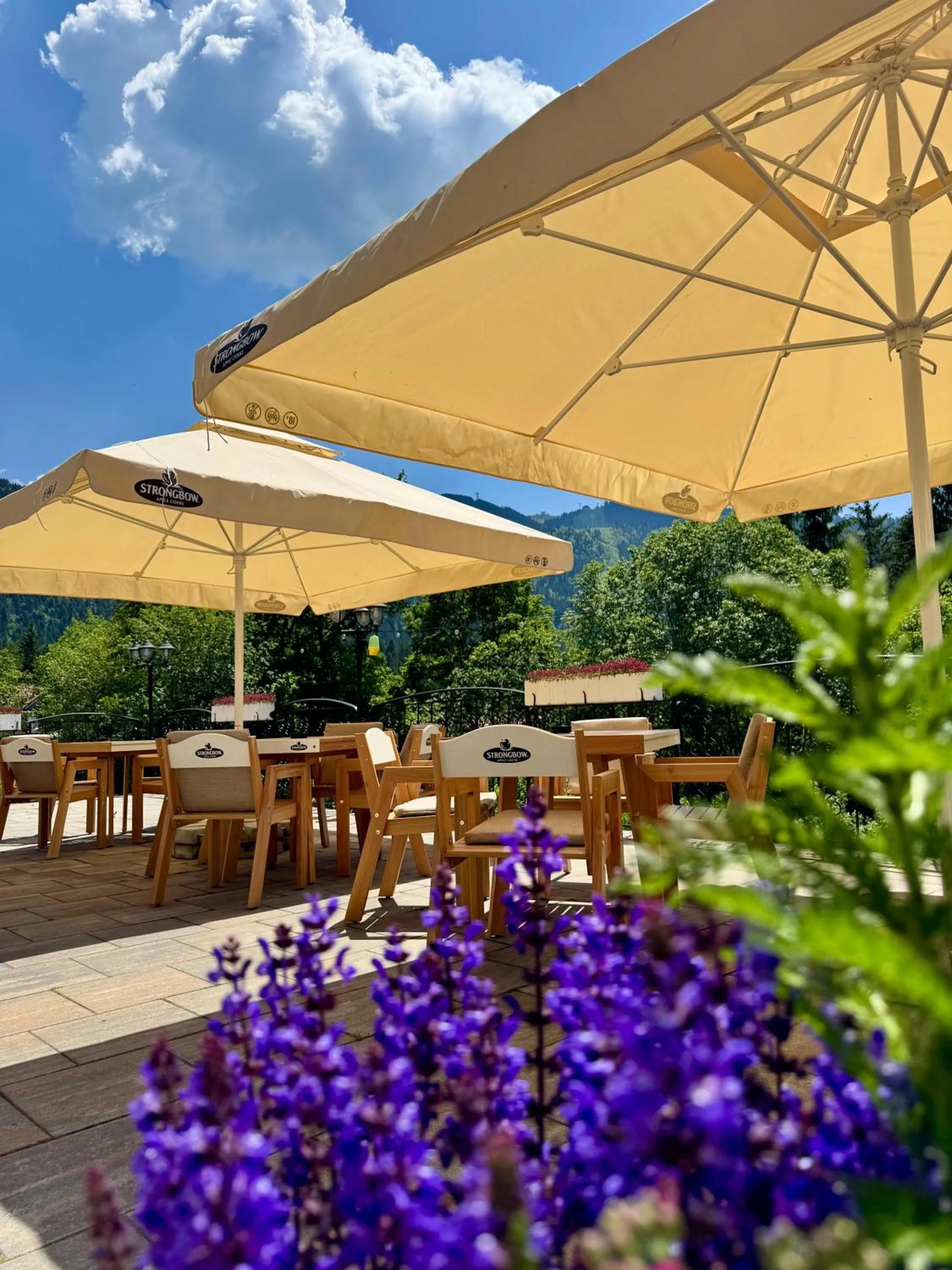 Balcony/Terrace in Hotel Piatra Mare