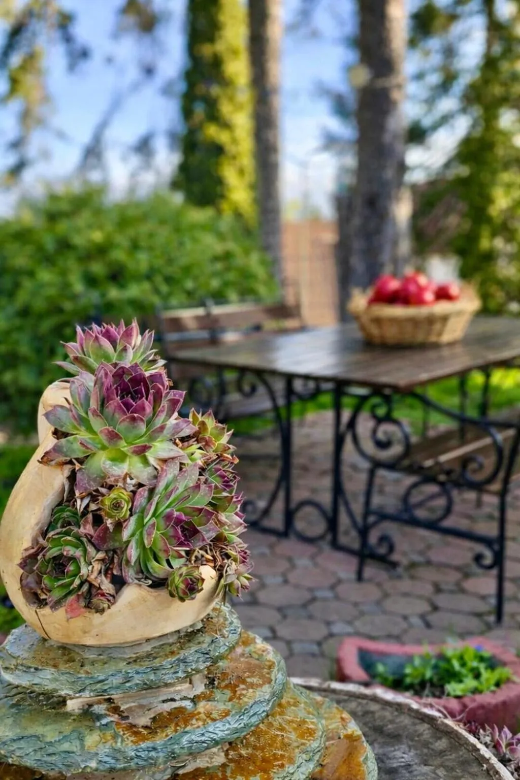 Spring in Hotel Piatra Mare