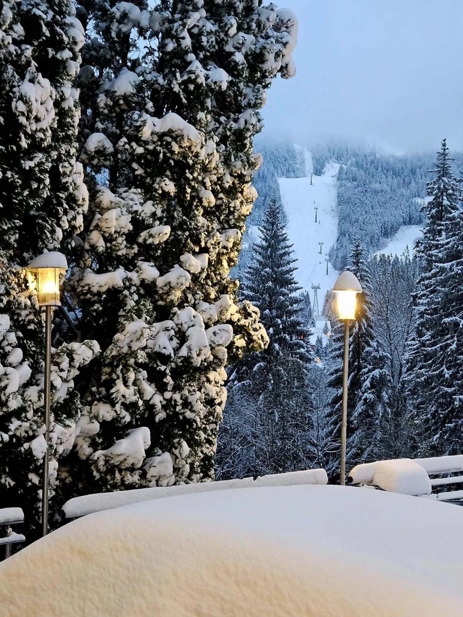 Natural landscape in Hotel Piatra Mare