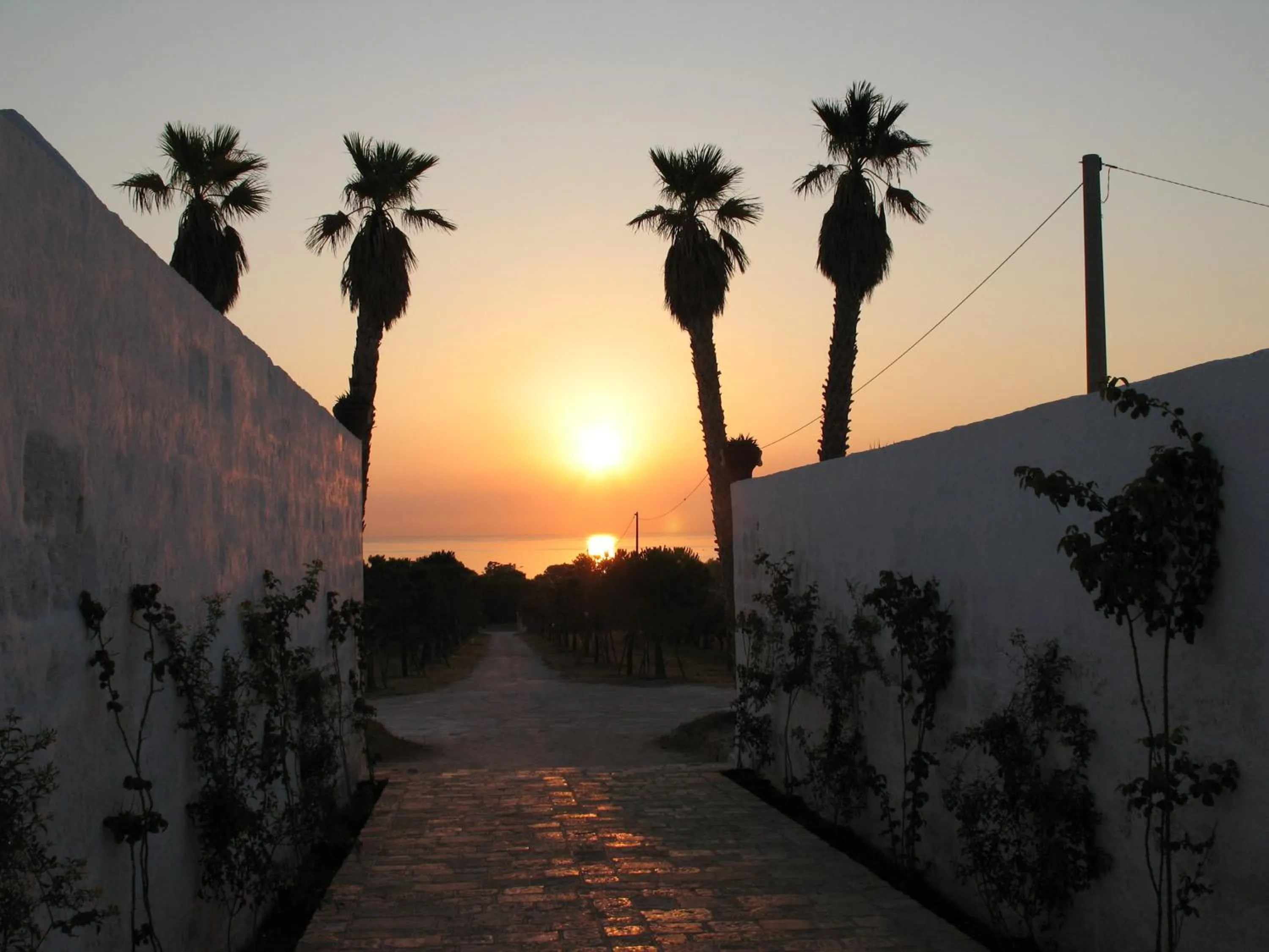 View (from property/room) in Hotel Masseria Fortificata Donnaloia
