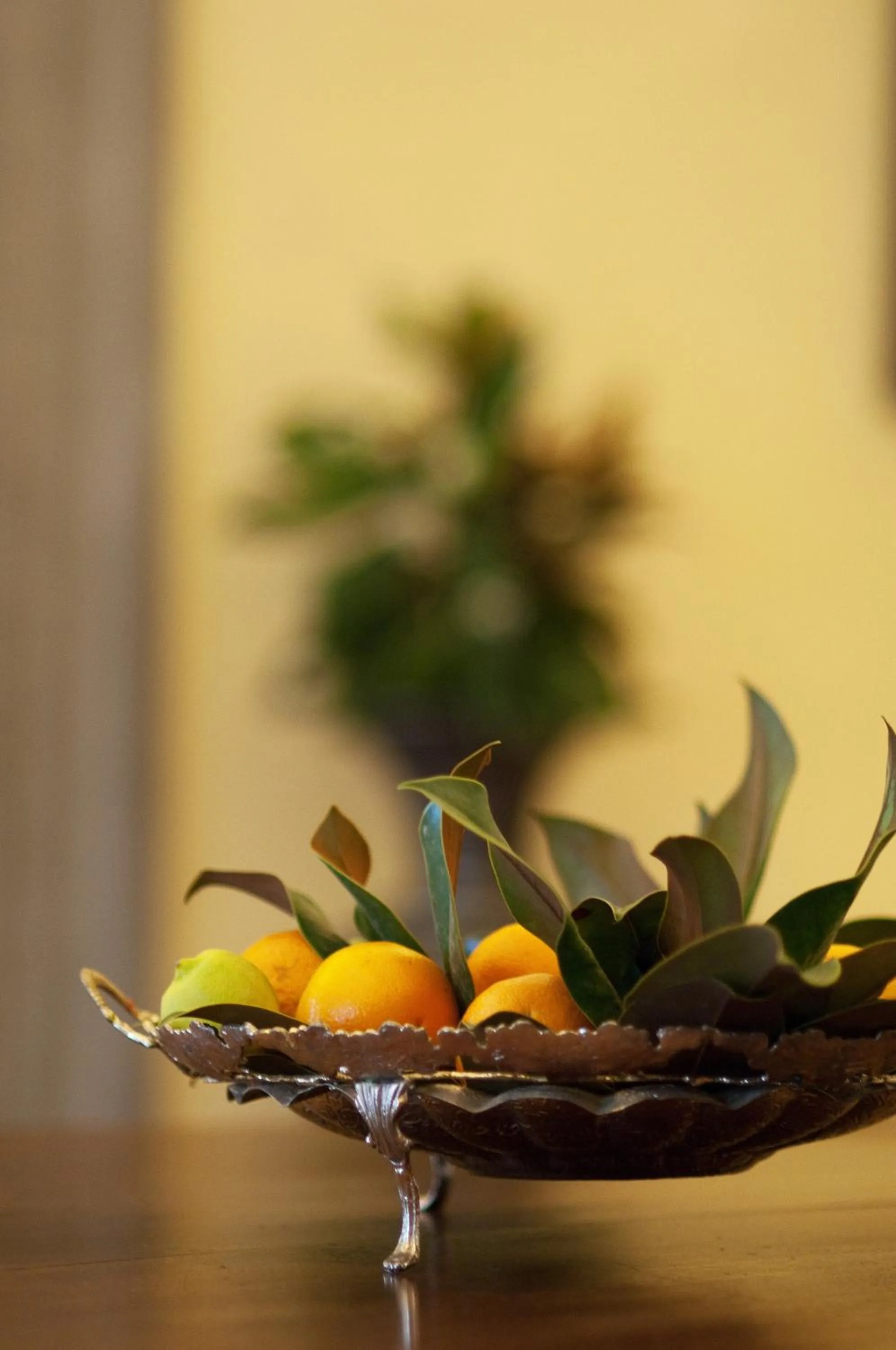Seating area in Villa Il Fedino