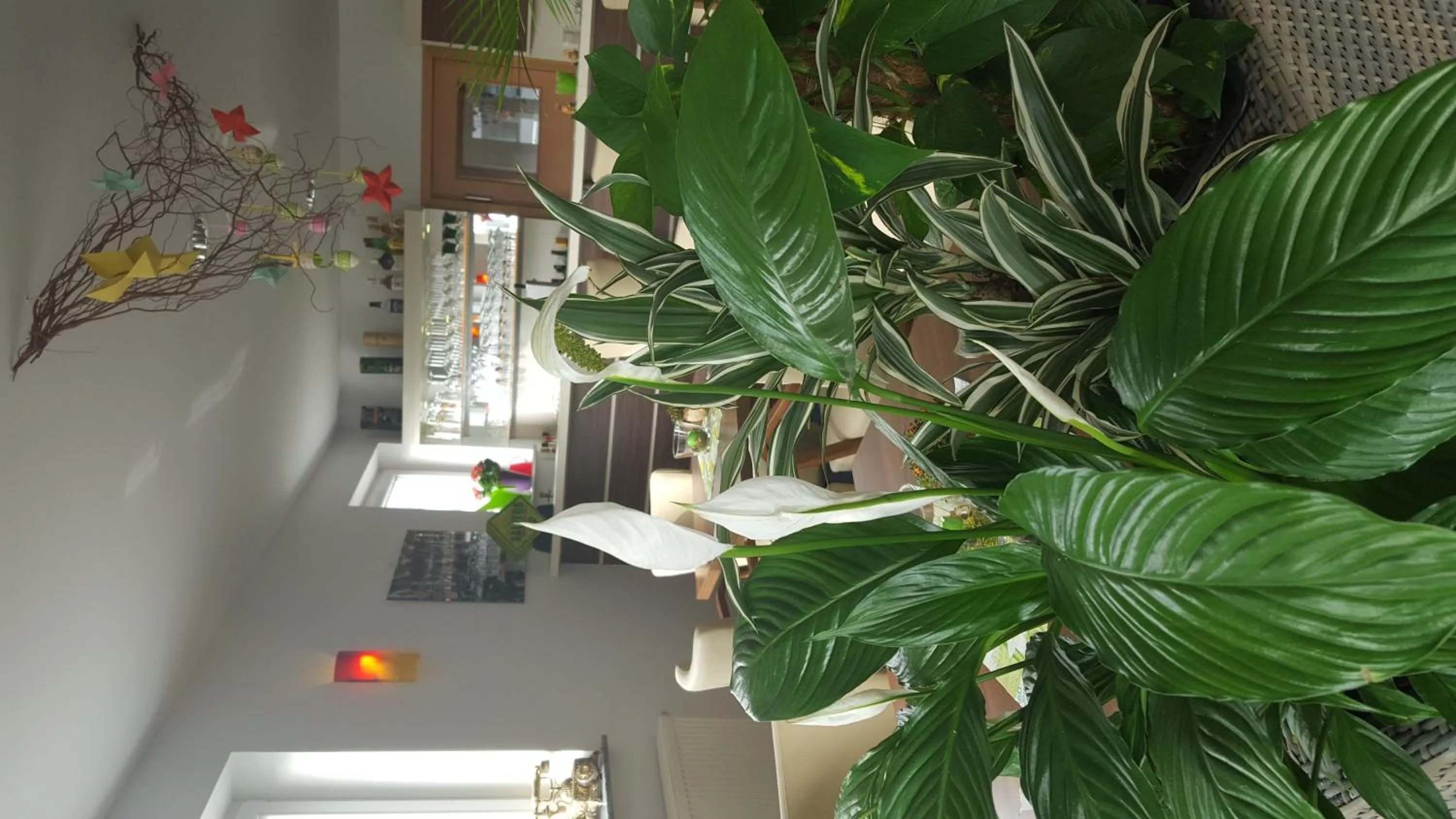 Restaurant/places to eat in Hotel Beuss