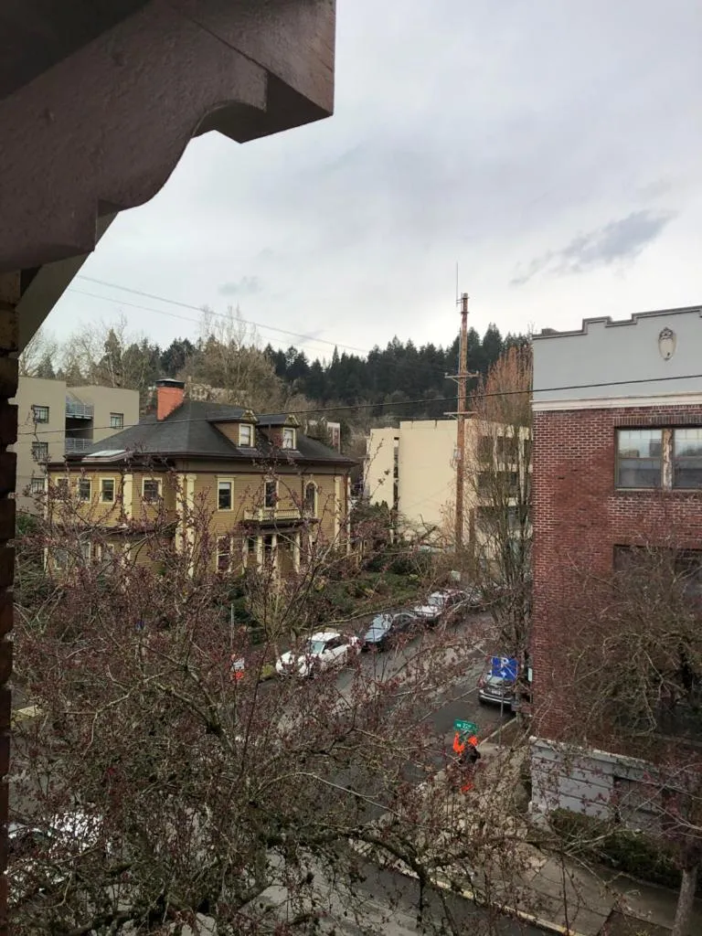 City view in Portland International Guesthouse