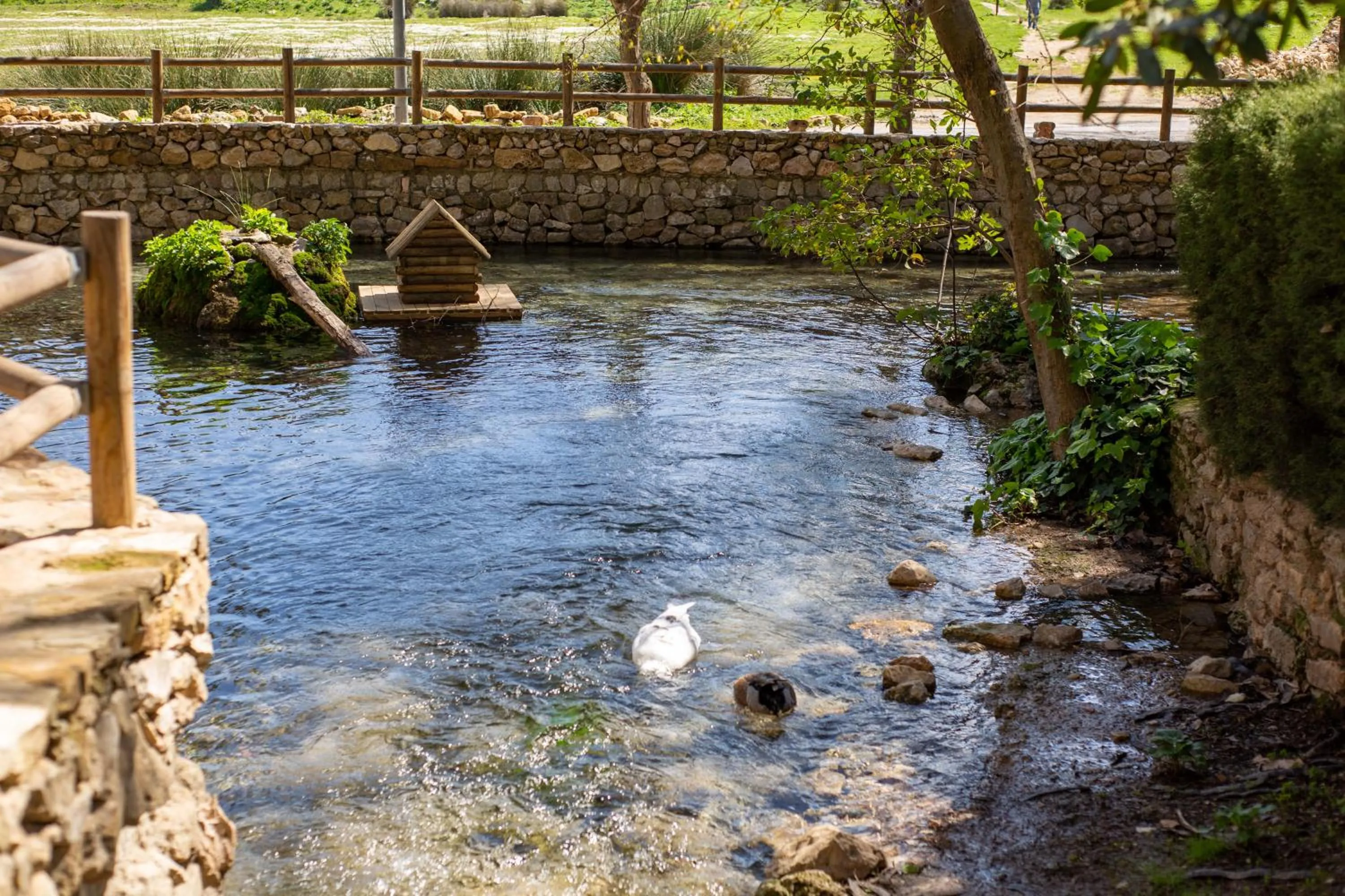 Hiking in Hotel Rural El Castillejo - A 15 min de Ronda