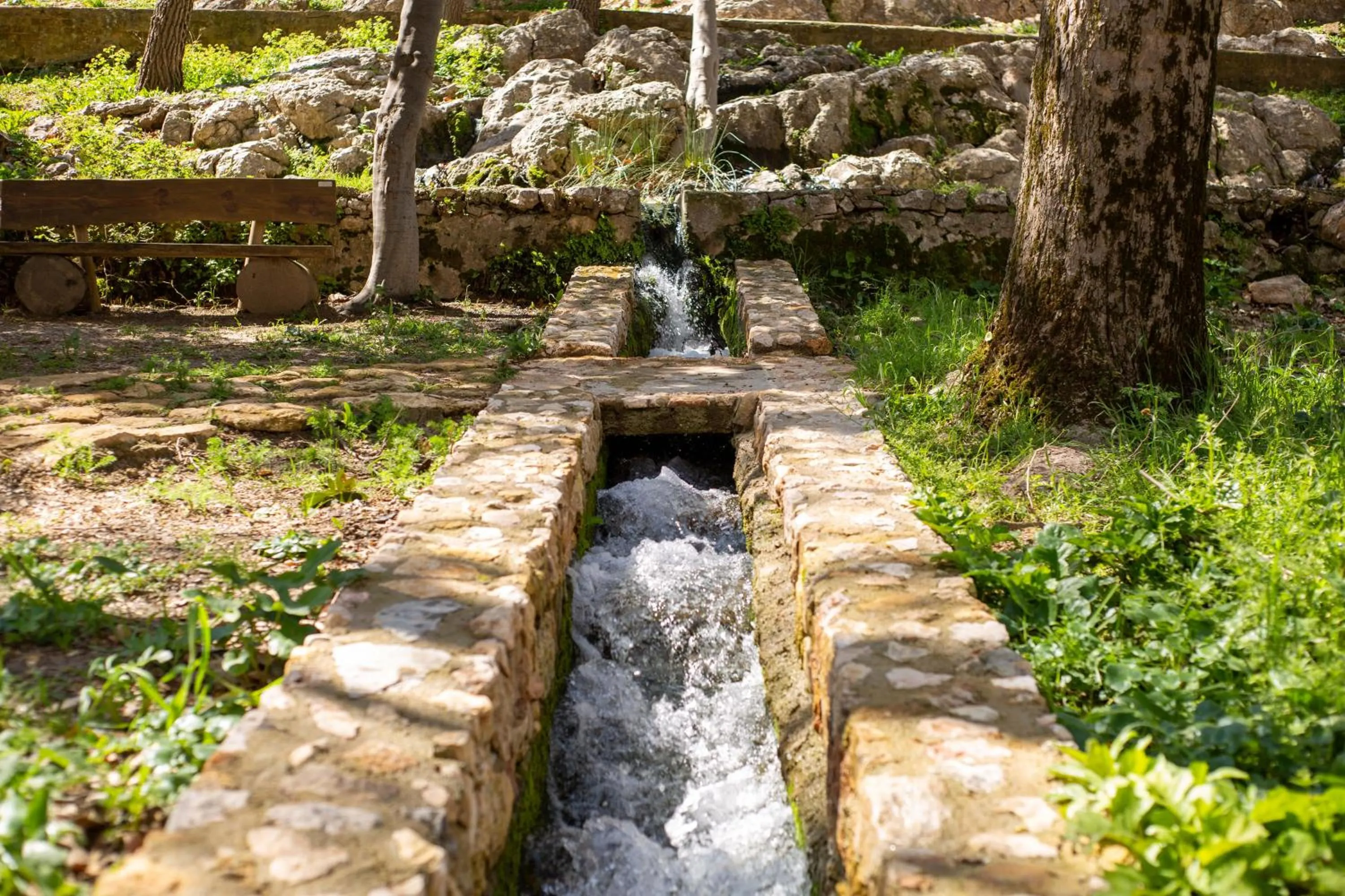 Entertainment in Hotel Rural El Castillejo - A 15 min de Ronda