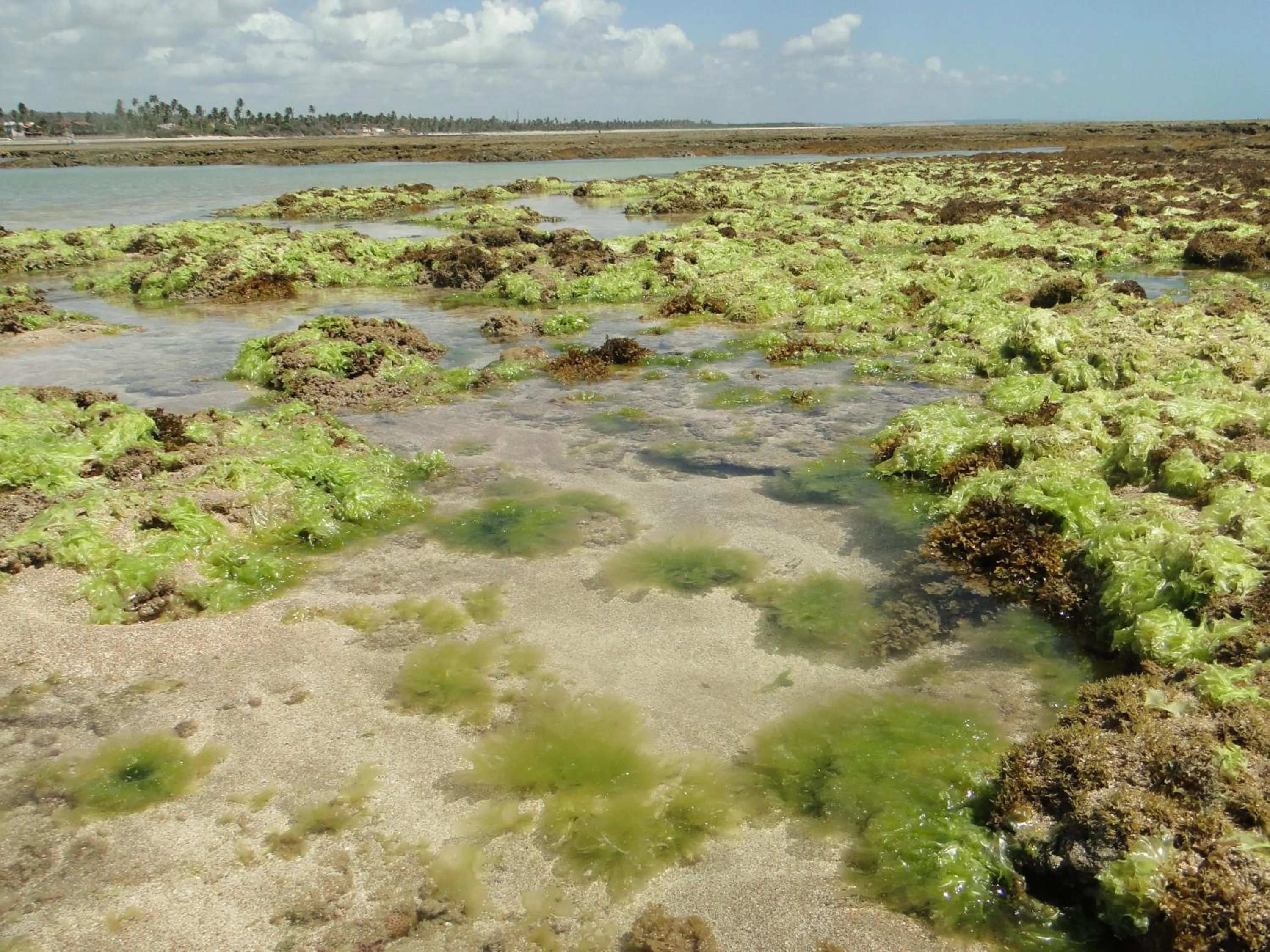 Beach in Hotel Pousada Arco Iris