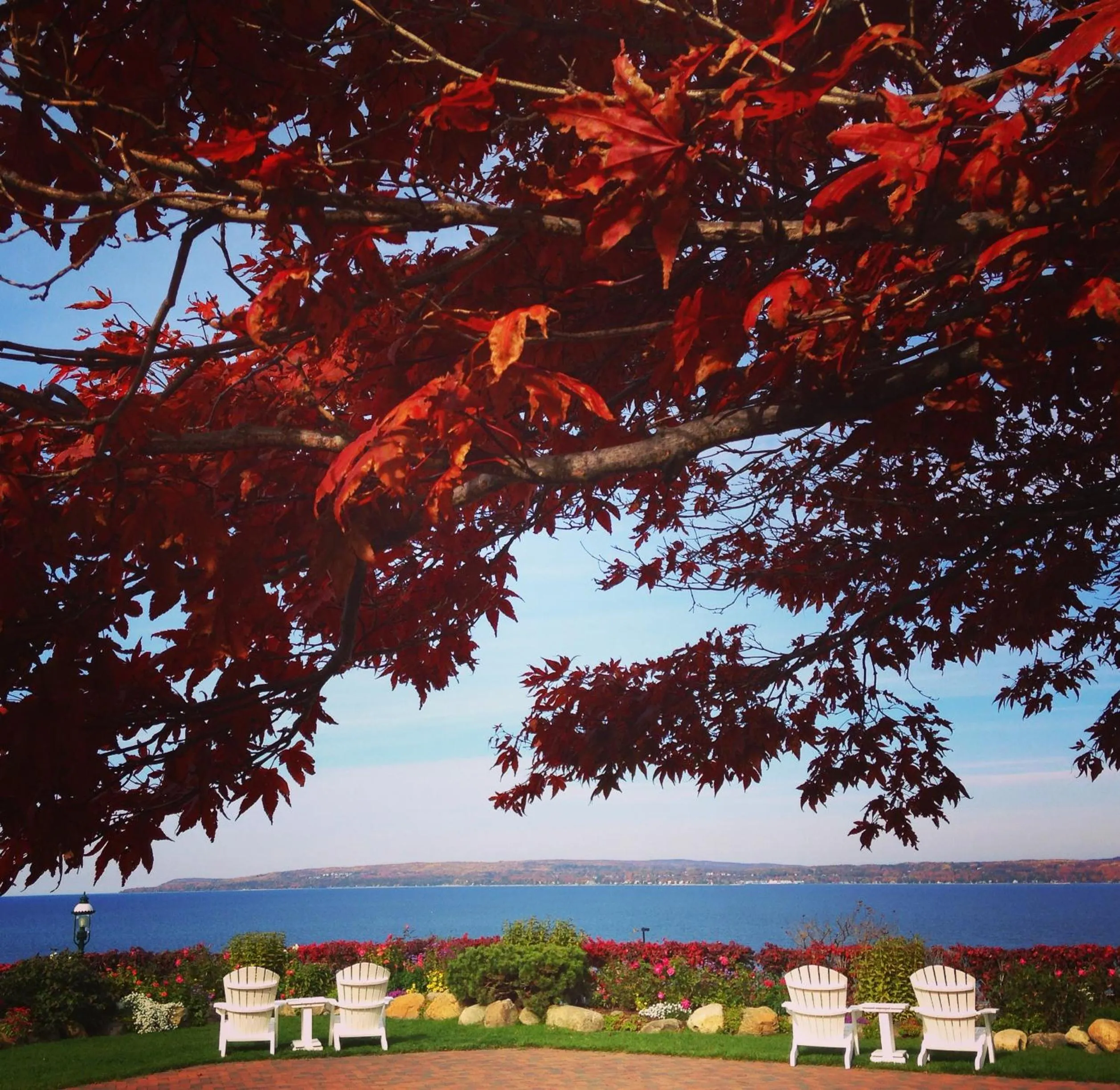 Garden in Perry Hotel