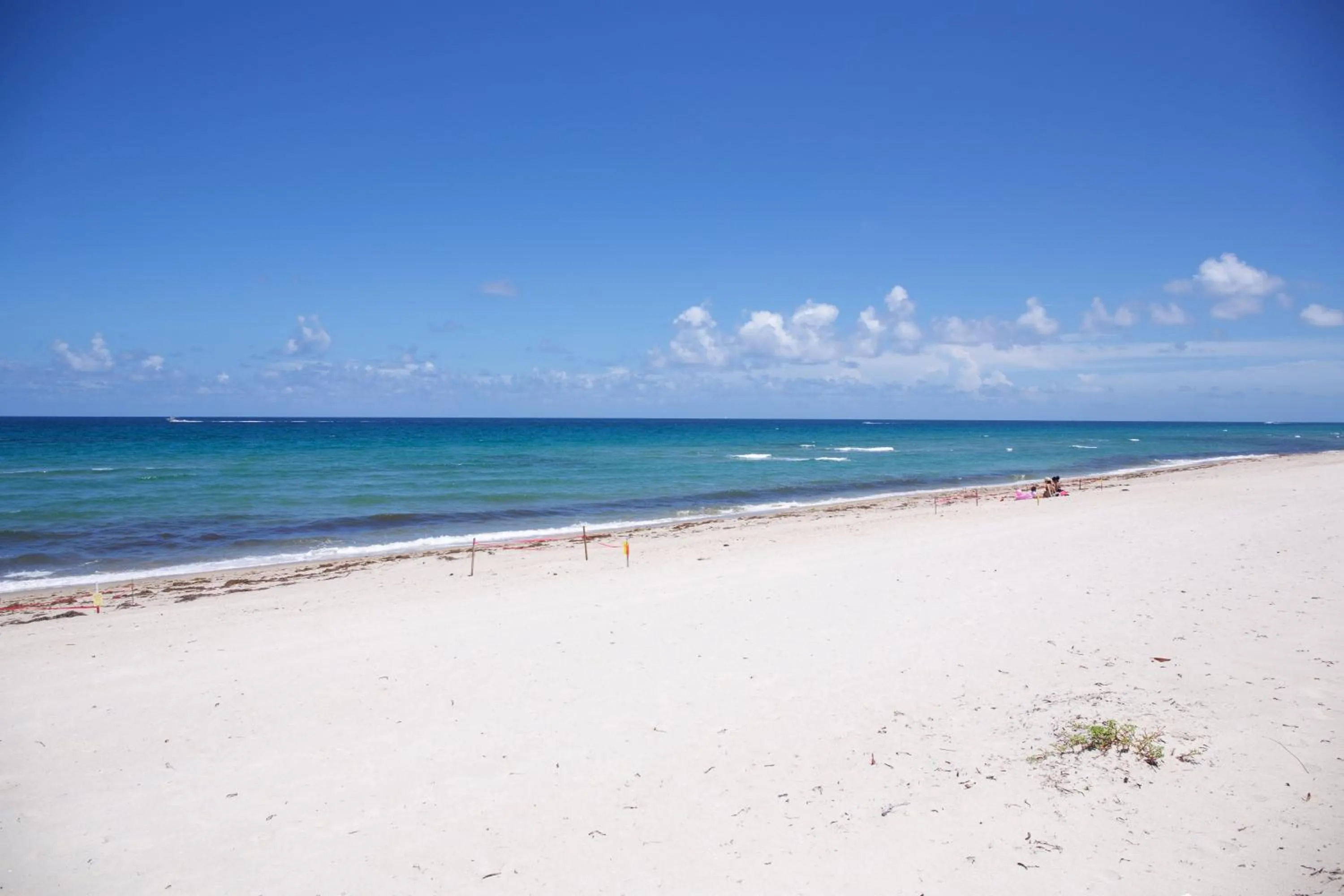 Sea view in Royal Flamingo Villas