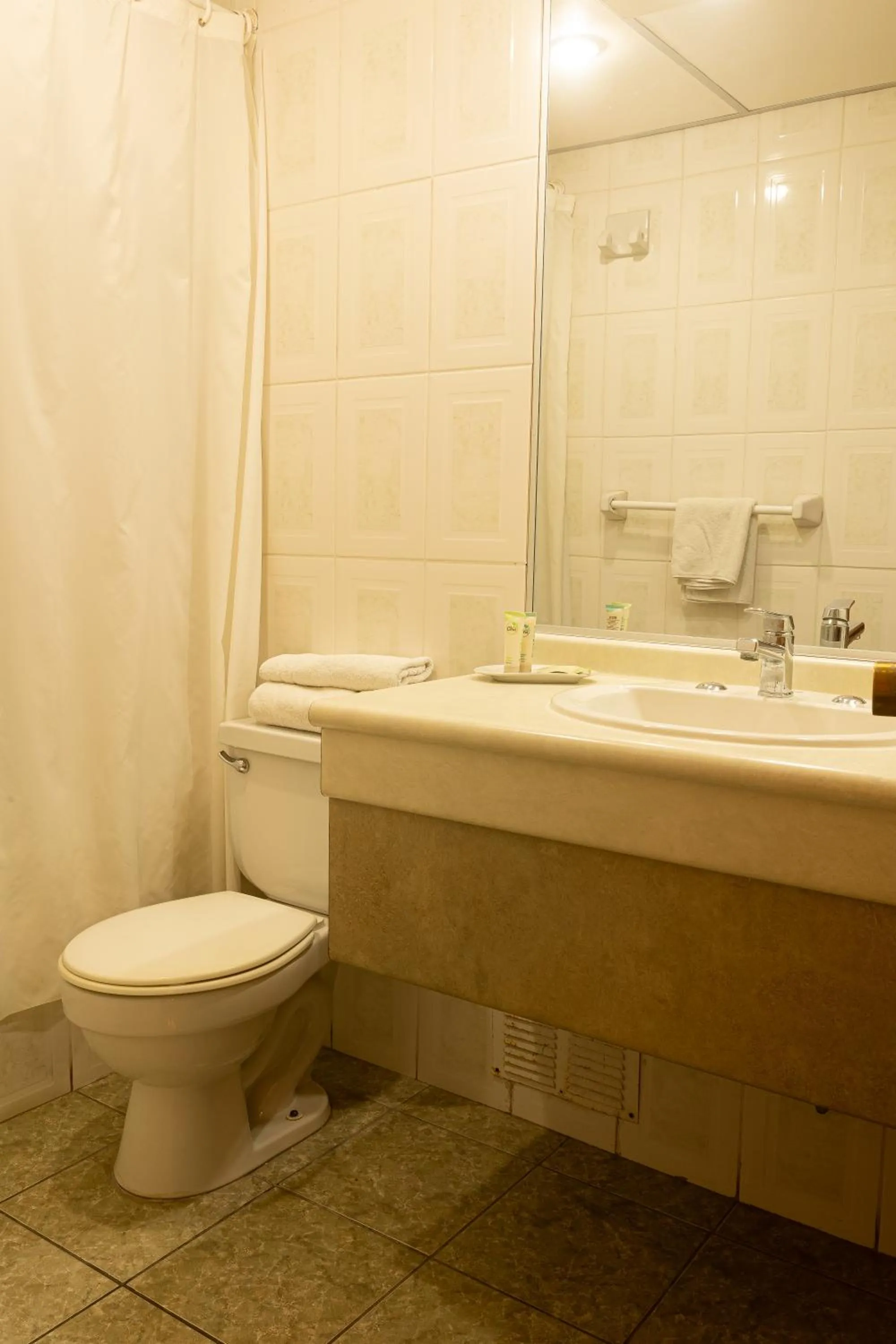 Bathroom in Hotel Gavina Express Arica