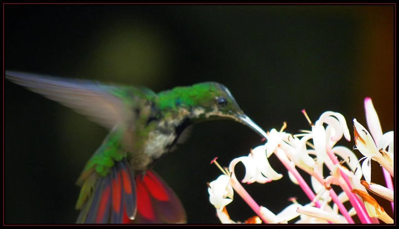 Living room in Villa La Caleta