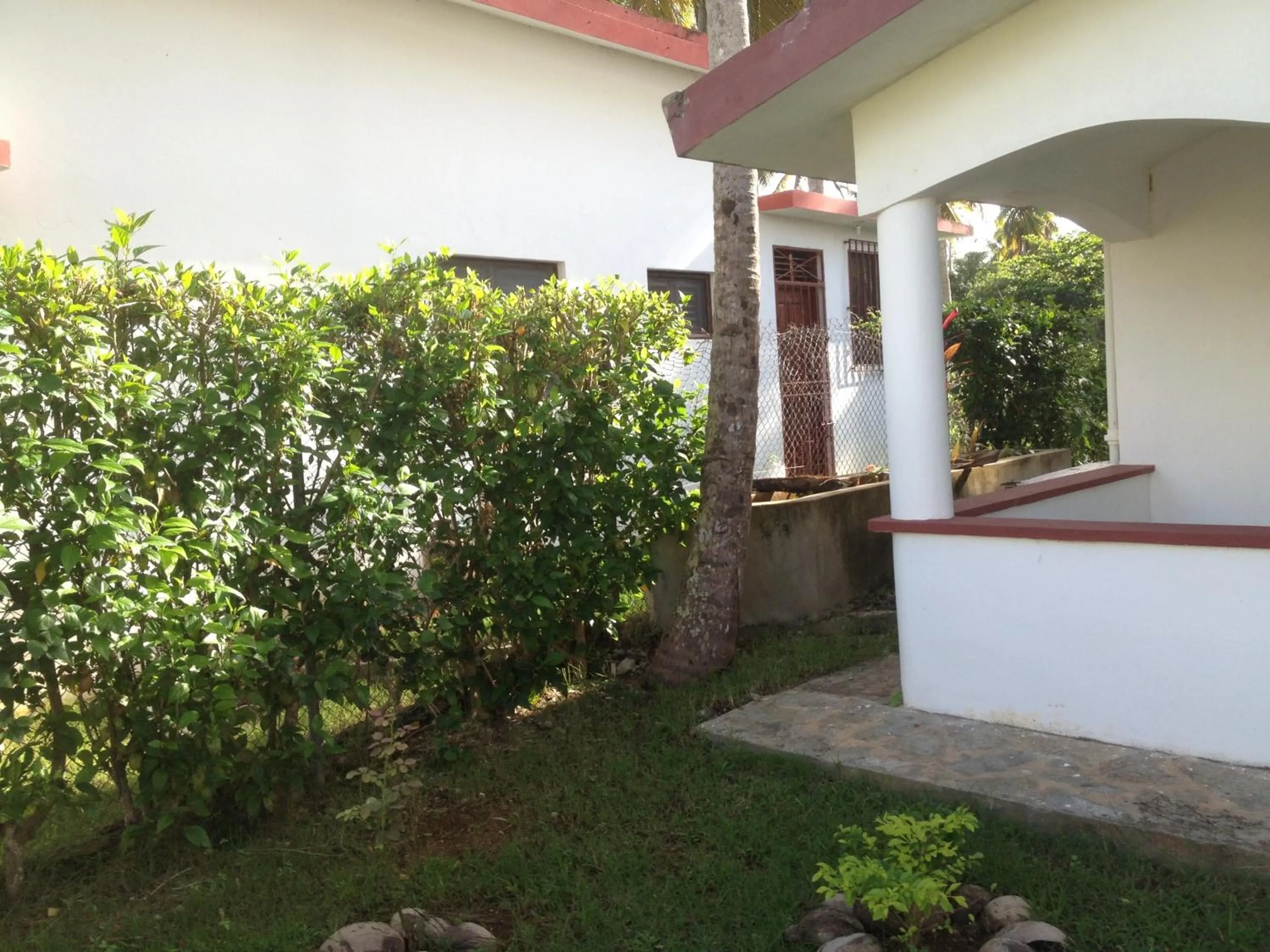 Garden in Villa La Caleta