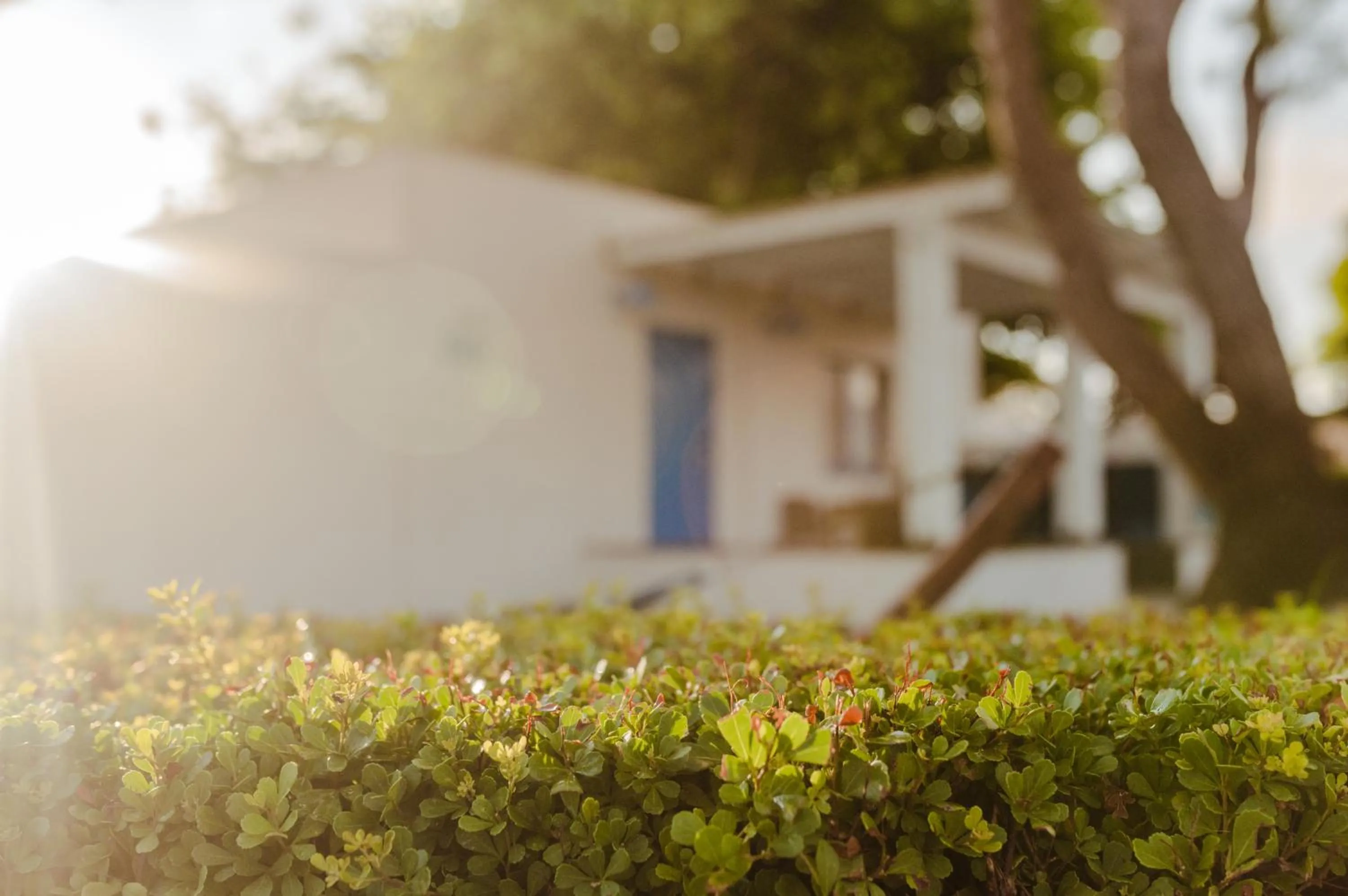 Property building in Nachsholim Beach Hotel