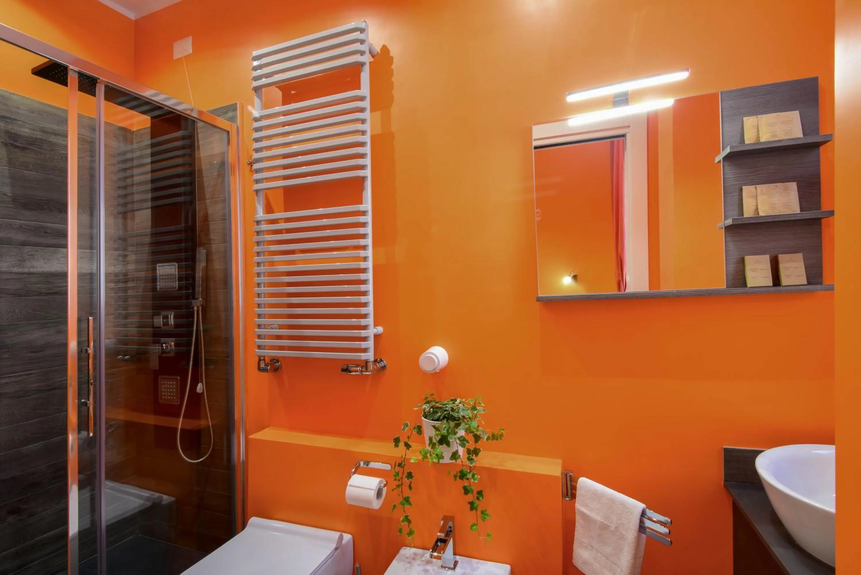 Shower in Allegra's House Caracciolo