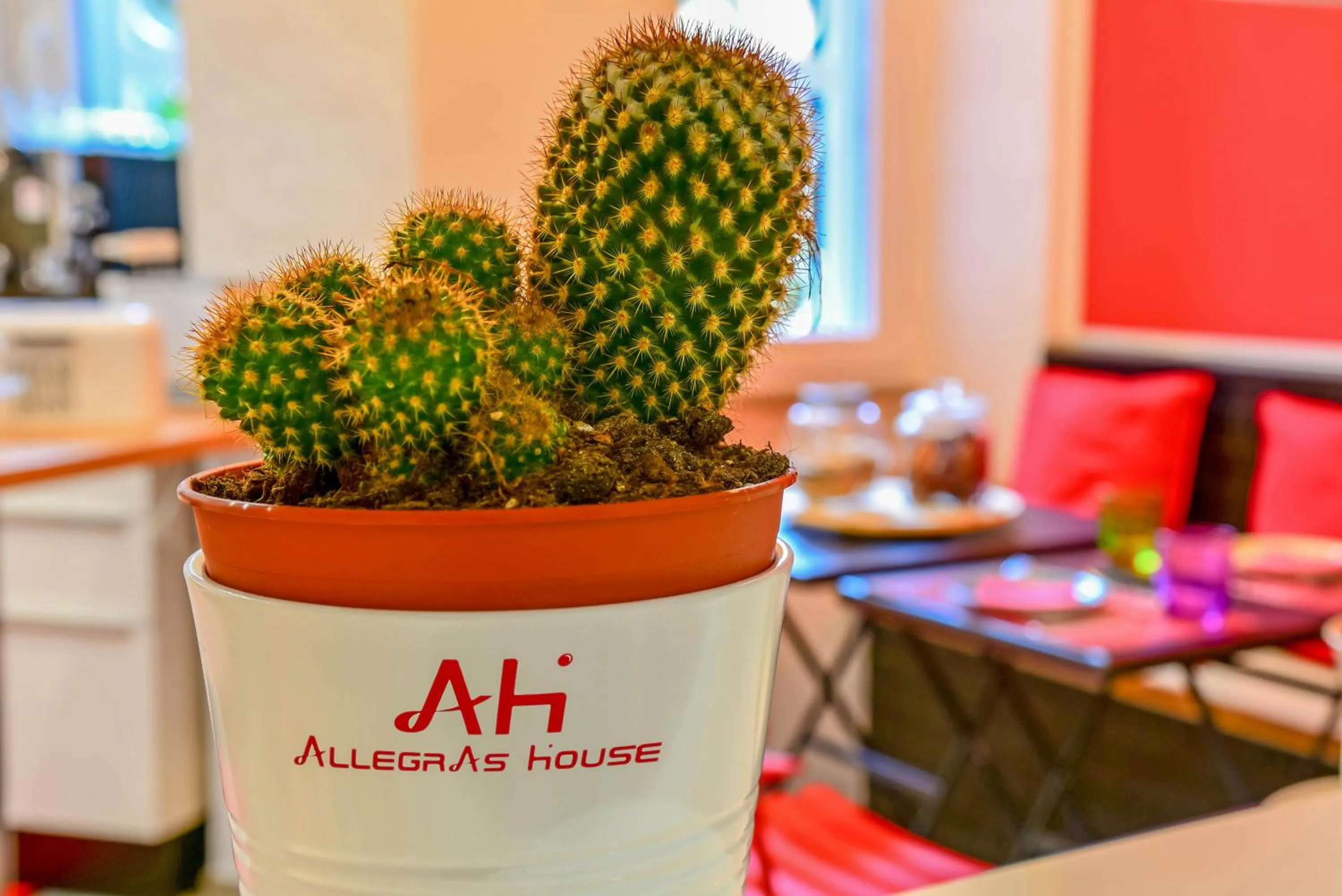 Property logo or sign in Allegra's House Caracciolo