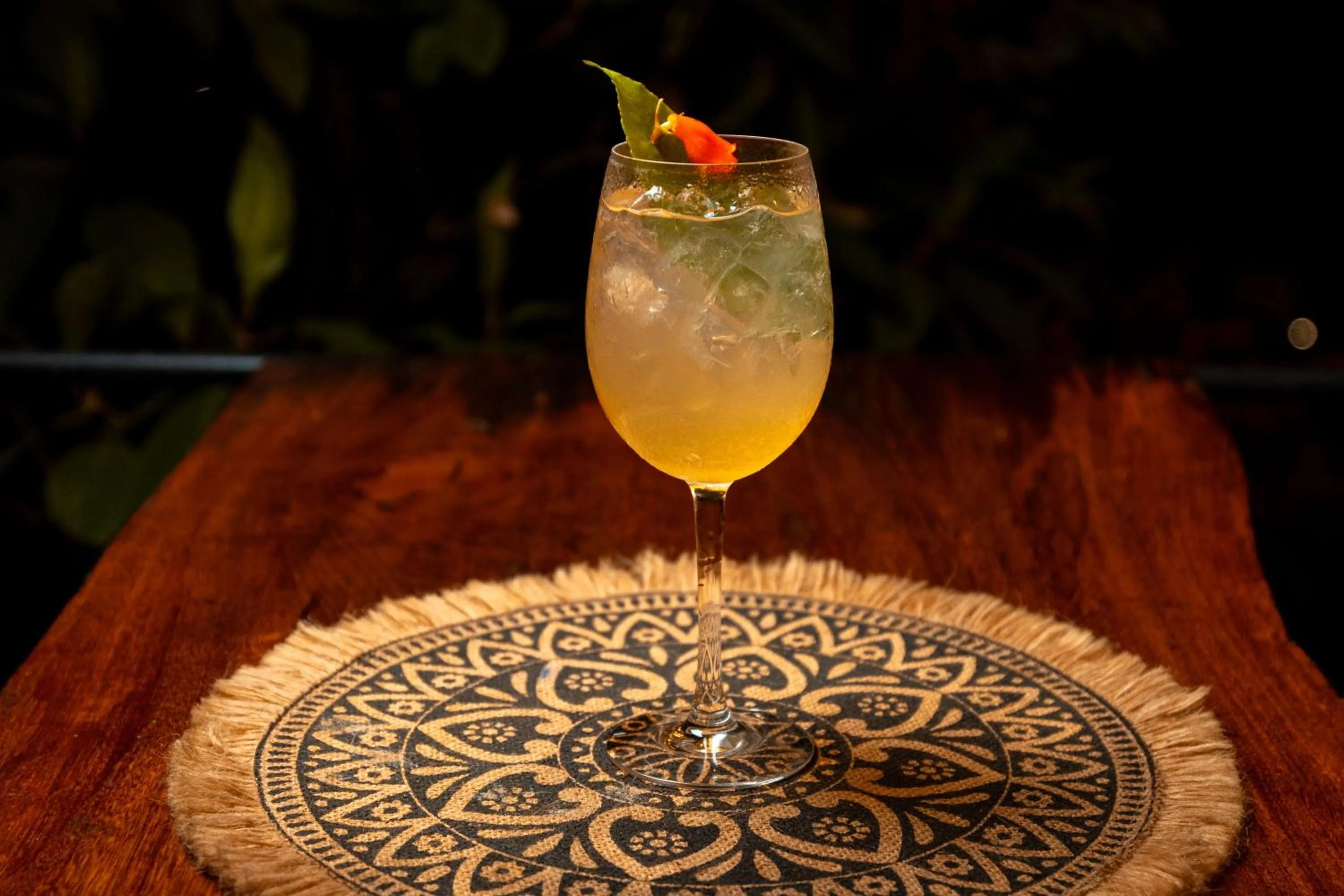 Food and drinks in Hamadryade Lodge