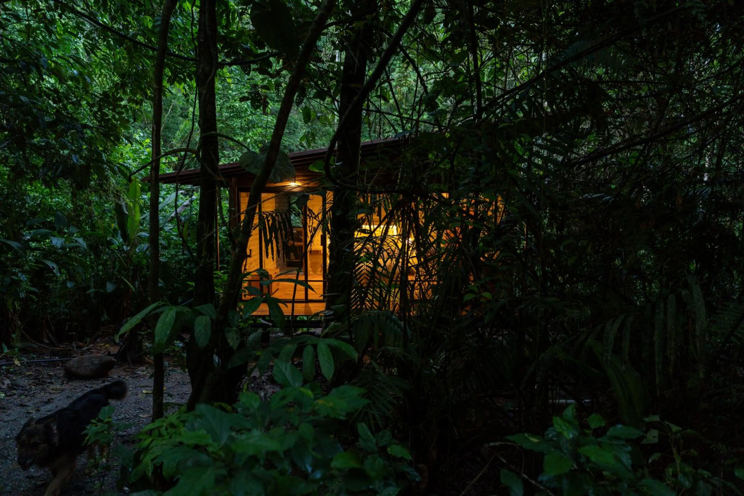 Property building in Hamadryade Lodge