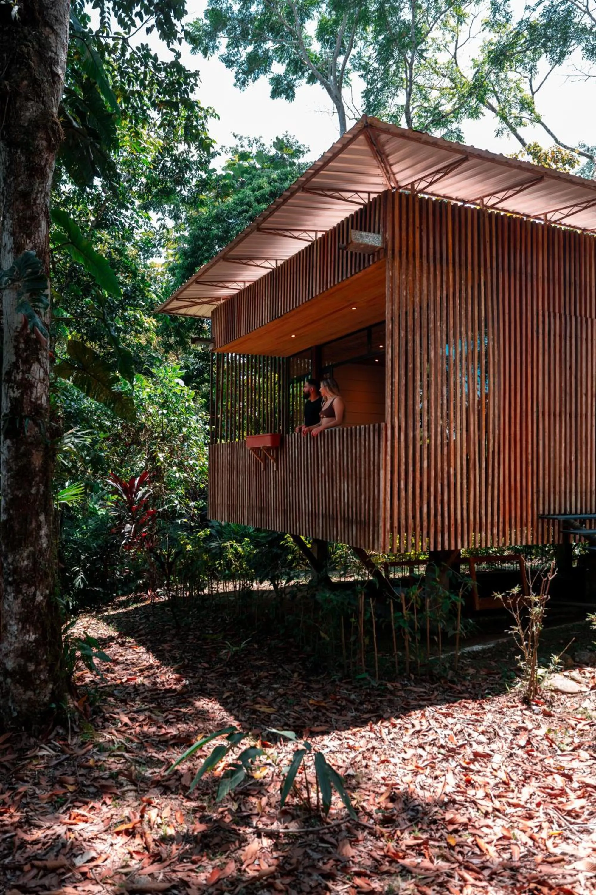 Property building in Hamadryade Lodge