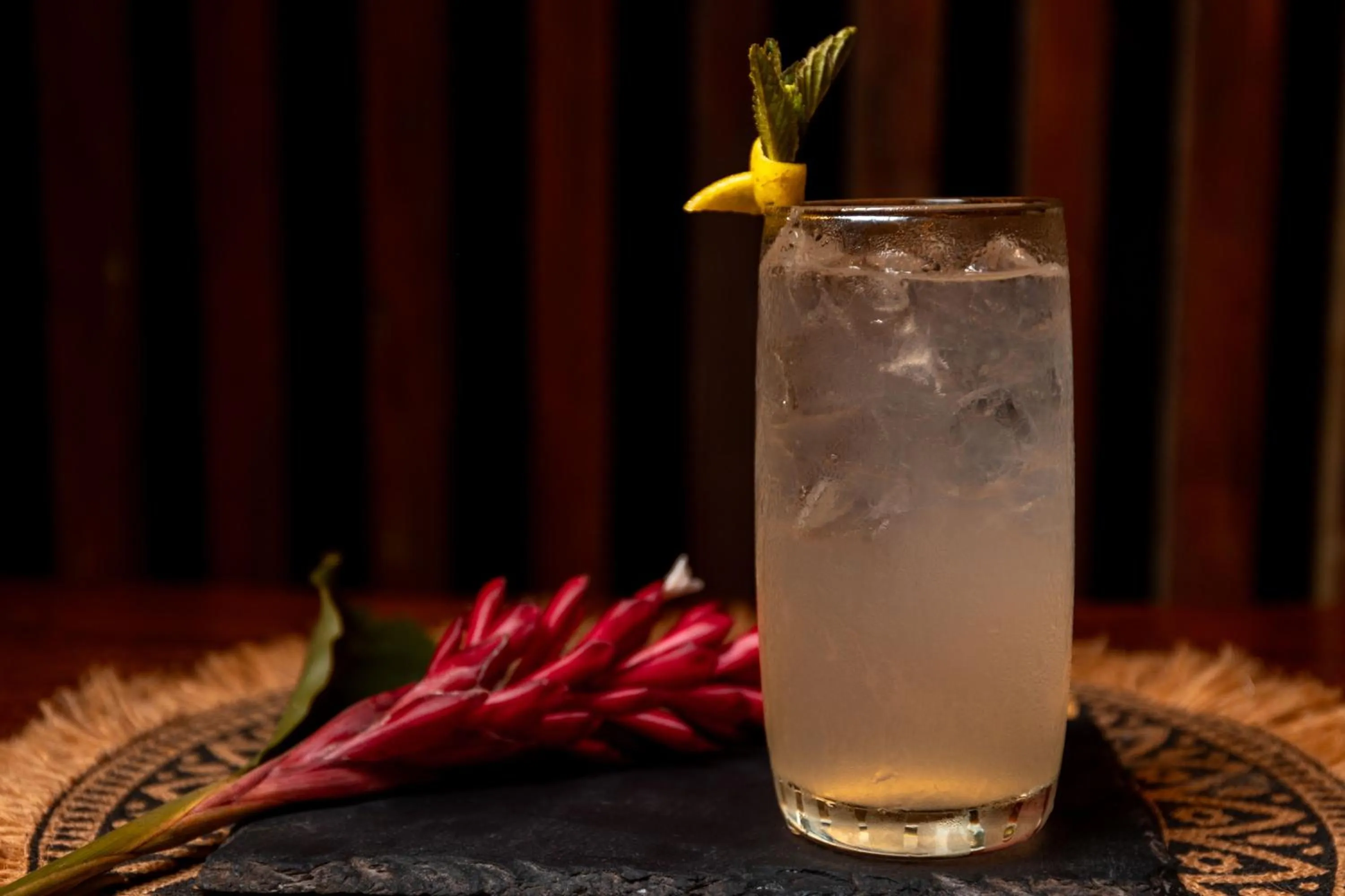 Food and drinks in Hamadryade Lodge