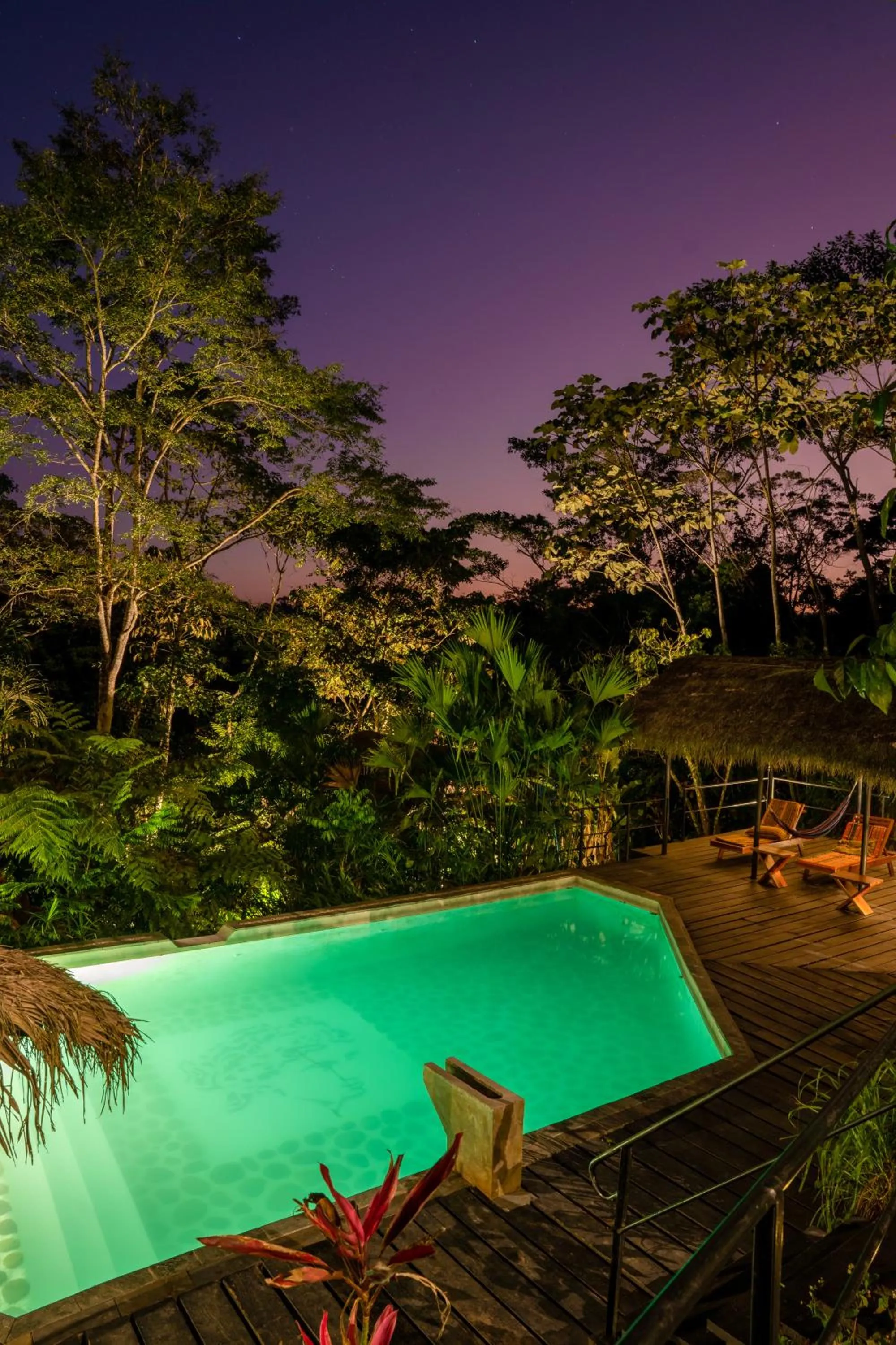 Swimming pool in Hamadryade Lodge