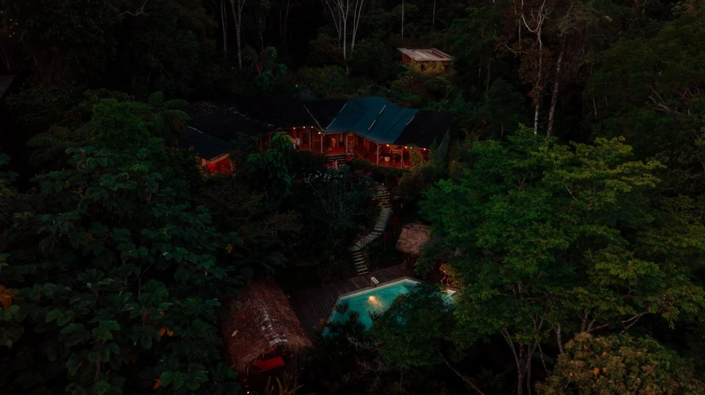 Bird's eye view in Hamadryade Lodge