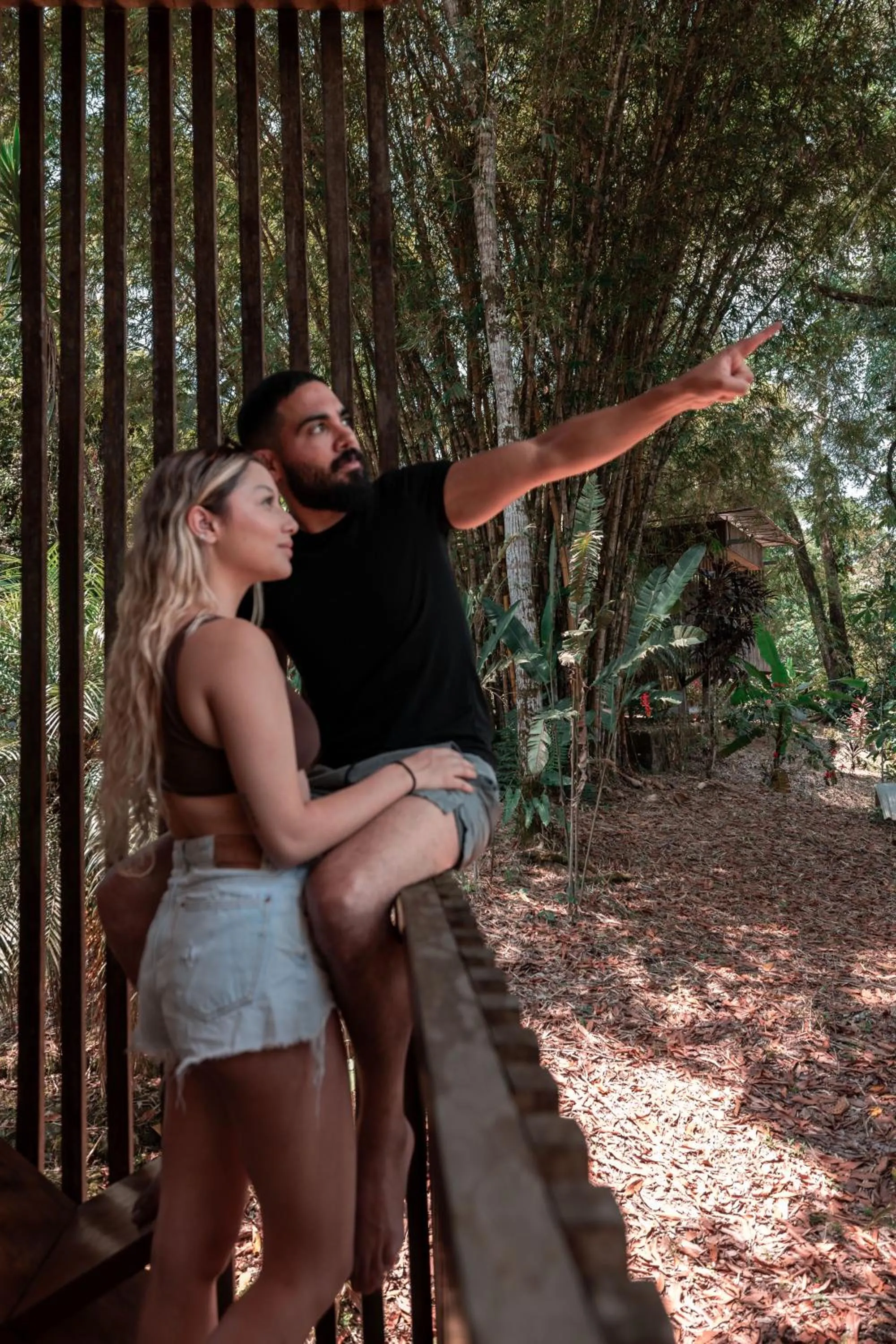 Property building in Hamadryade Lodge