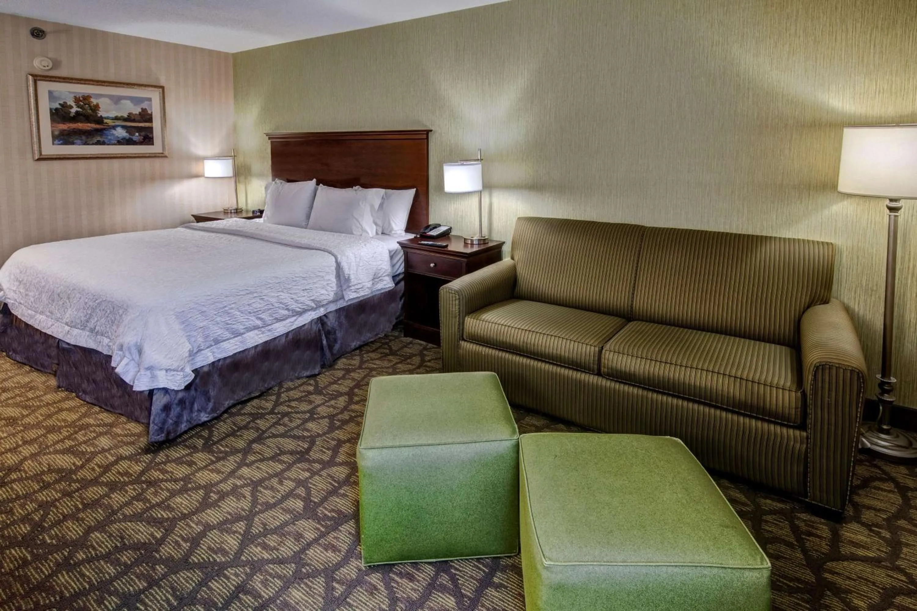 Living room, Bed in Hampton Inn Rocky Mount