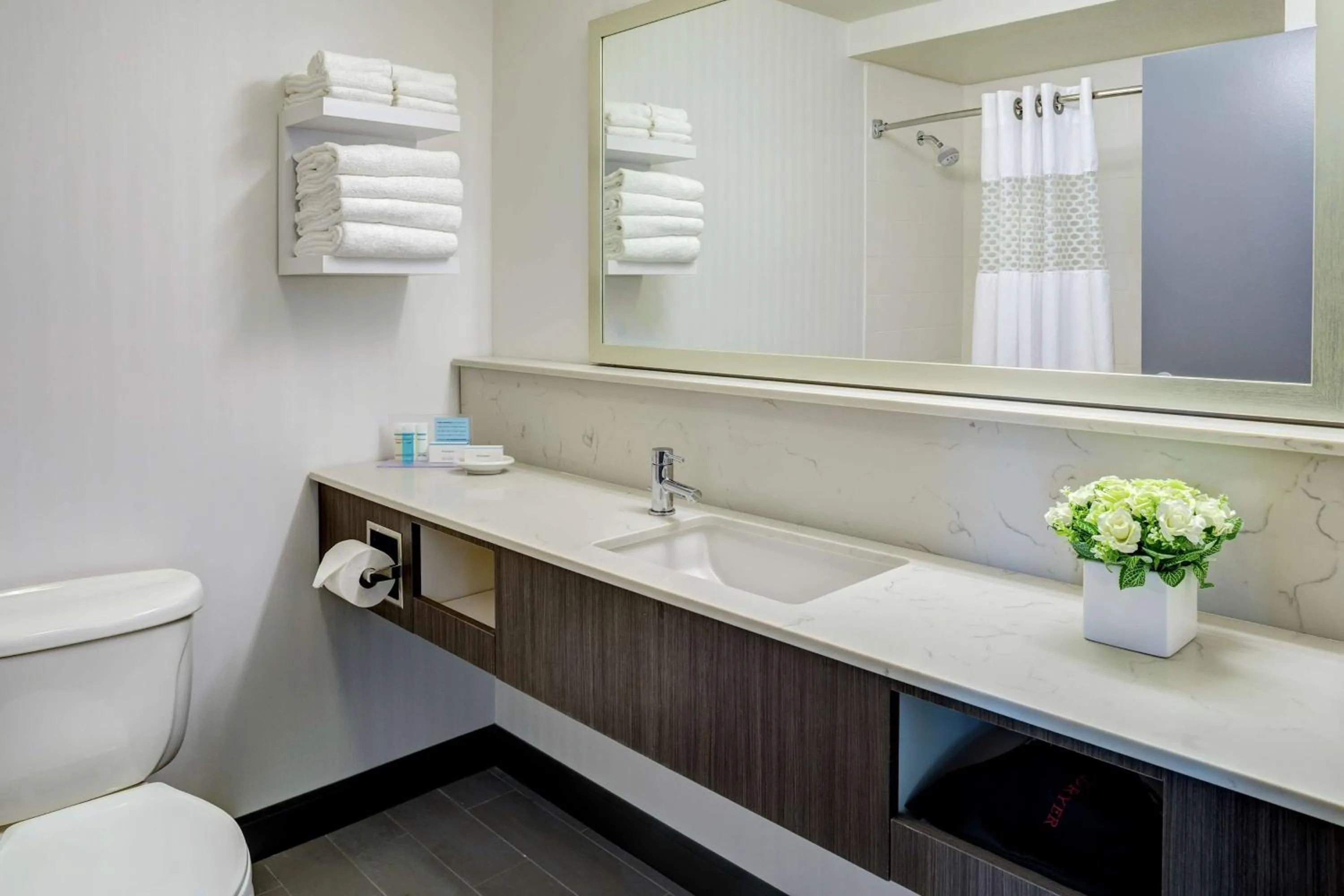 Bathroom in Hampton Inn & Suites Palm Desert