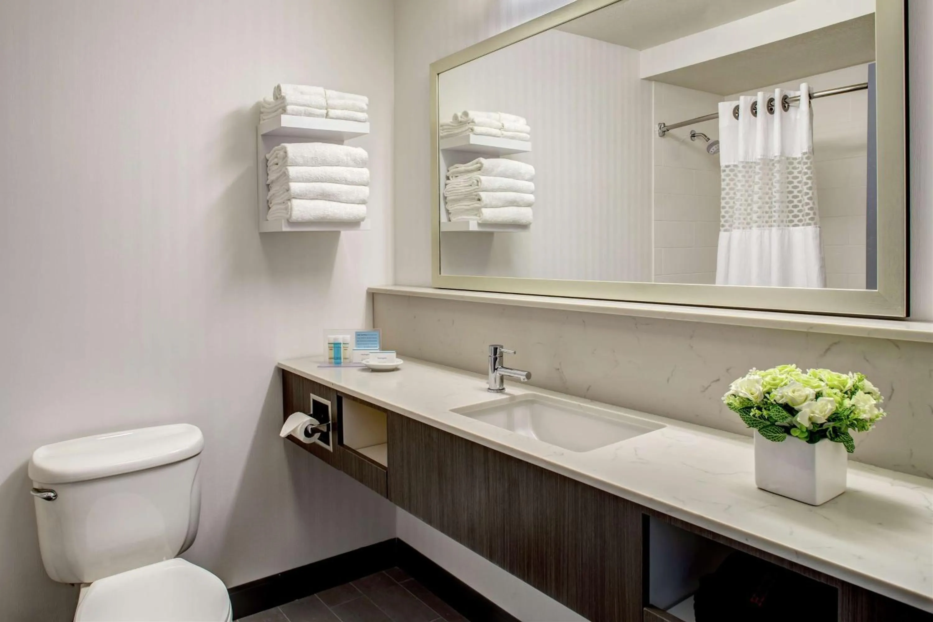 Bathroom in Hampton Inn & Suites Palm Desert