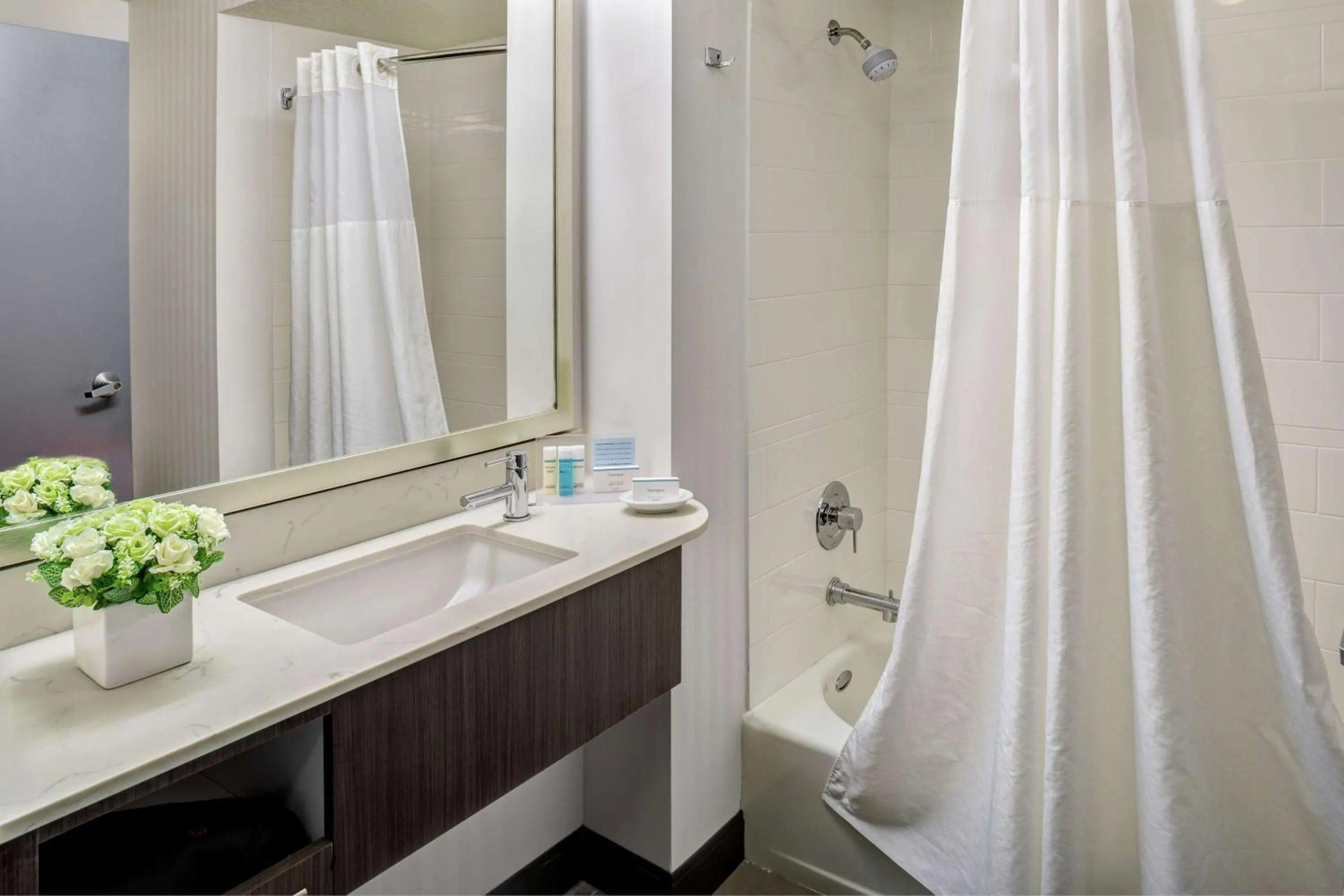 Bathroom in Hampton Inn & Suites Palm Desert