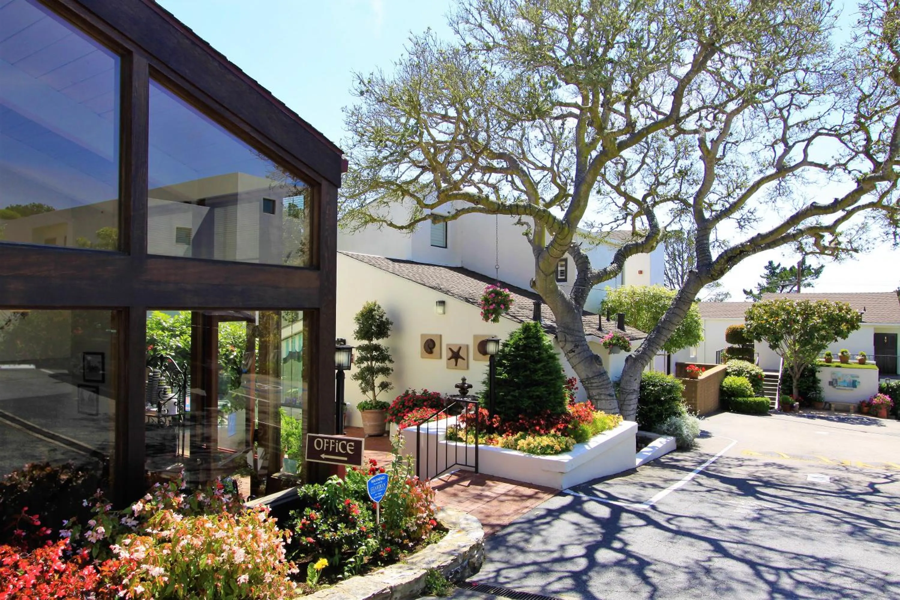 Garden view in Lobos Lodge