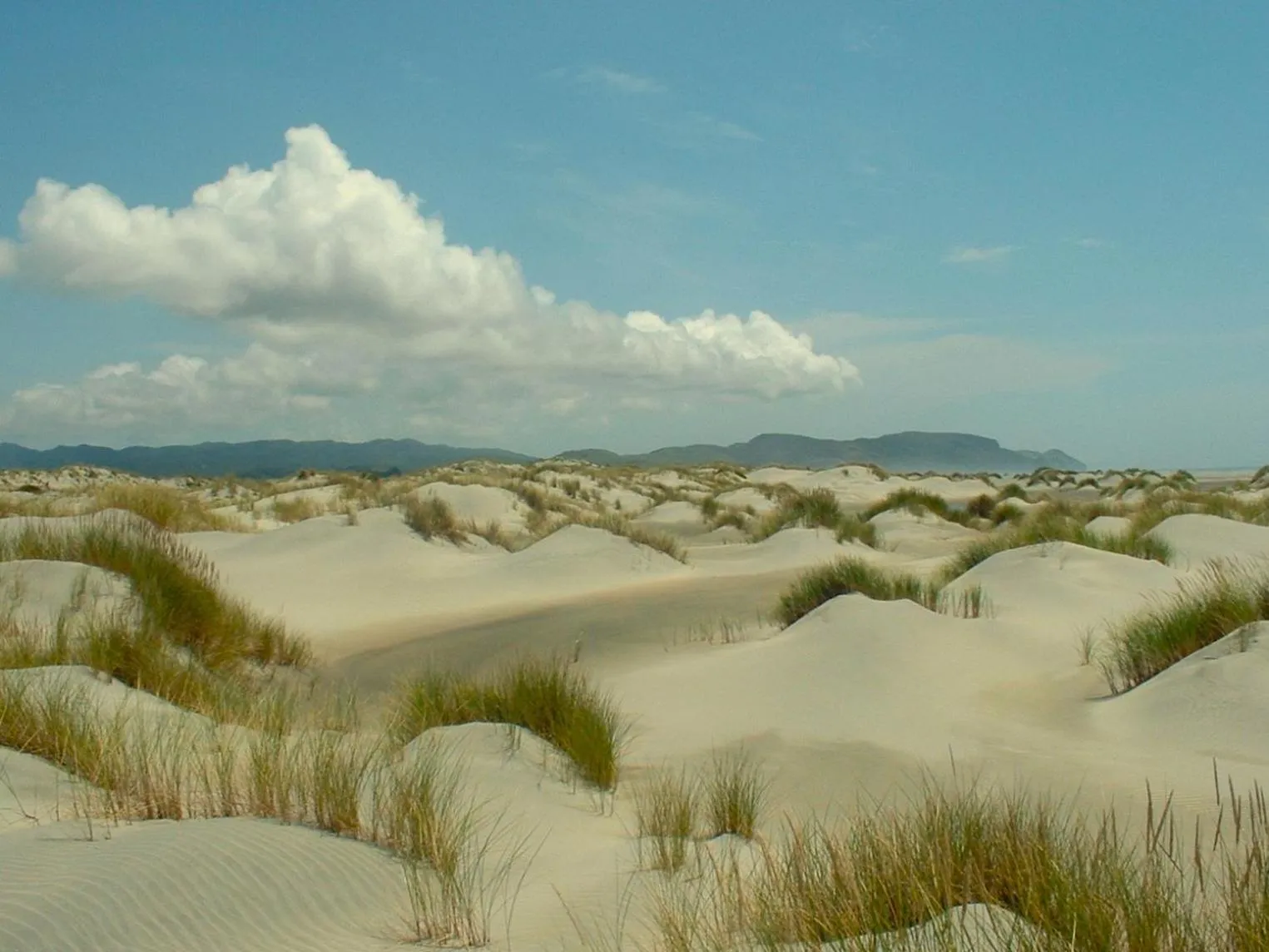 The Station House Motel