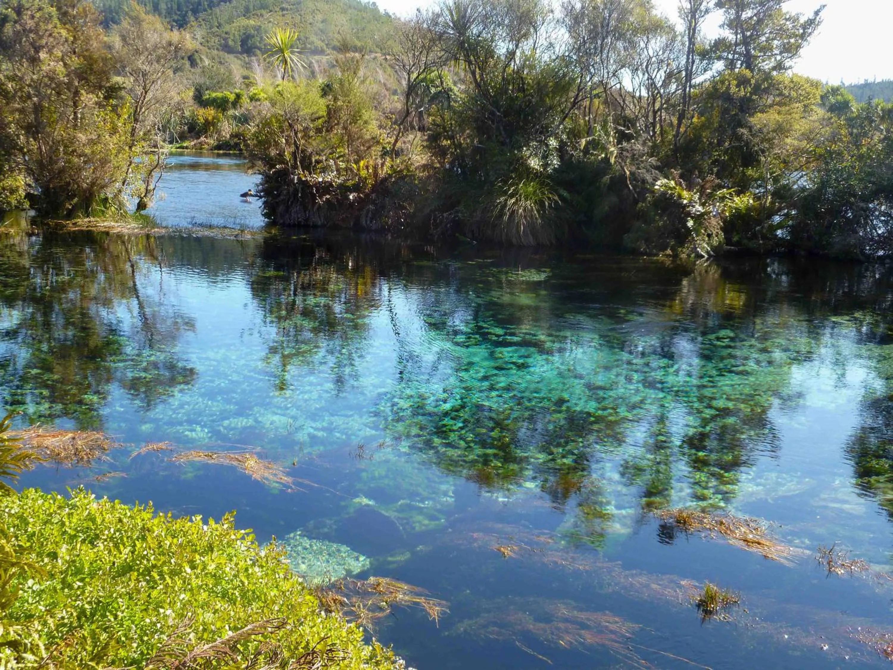 The Station House Motel
