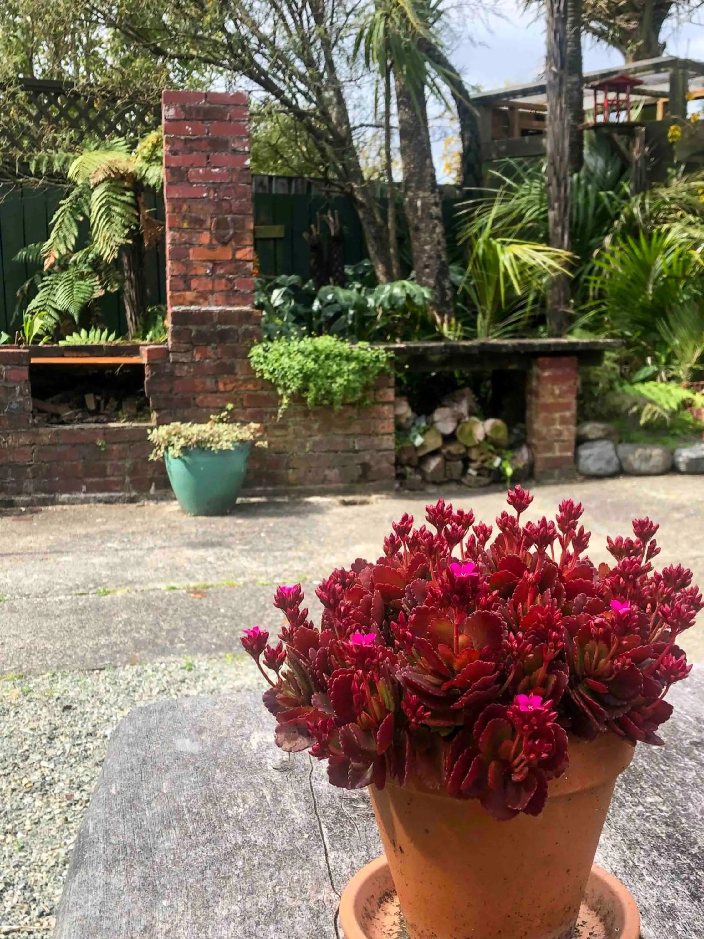 Garden in The Station House Motel