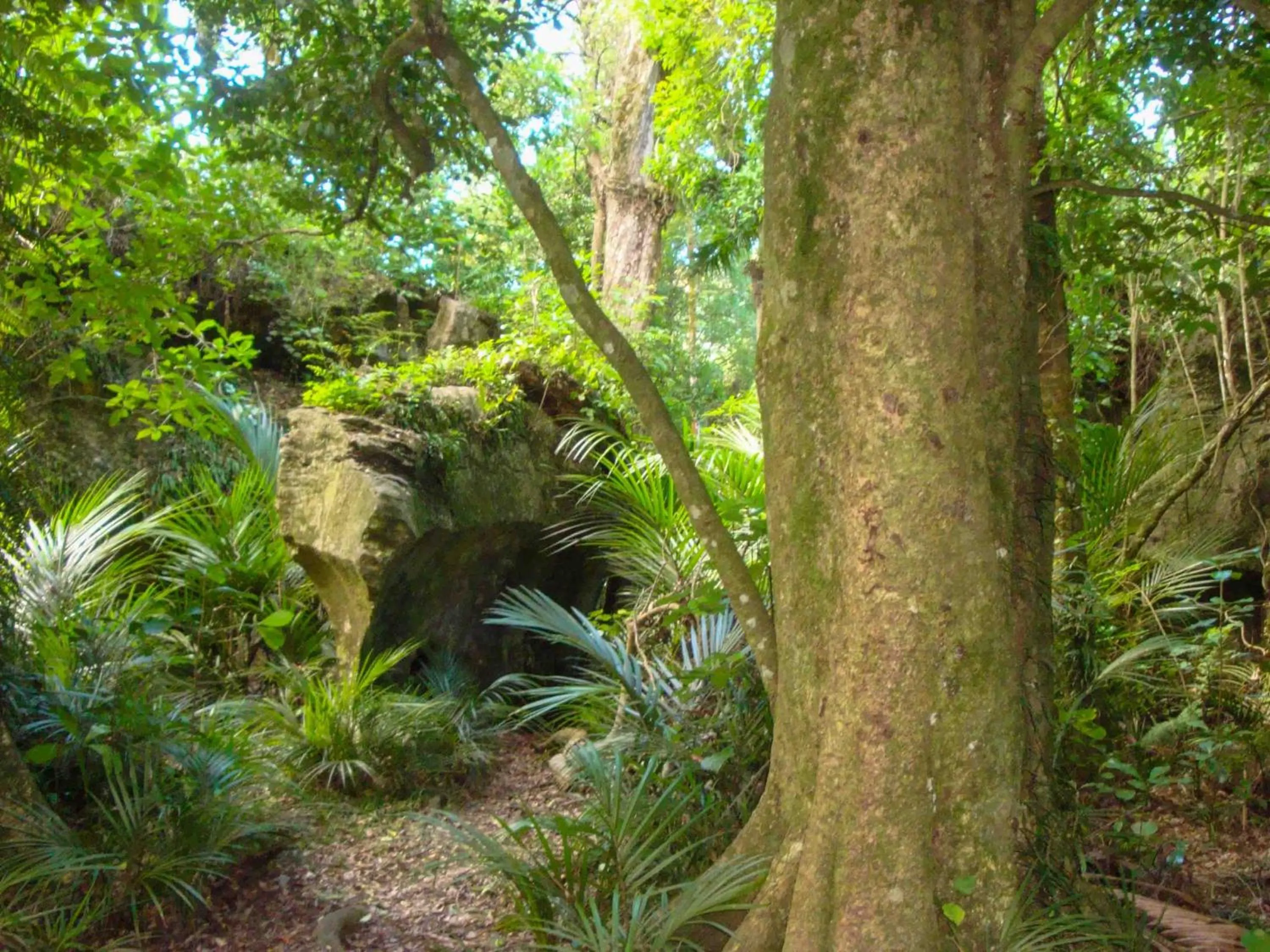 The Station House Motel