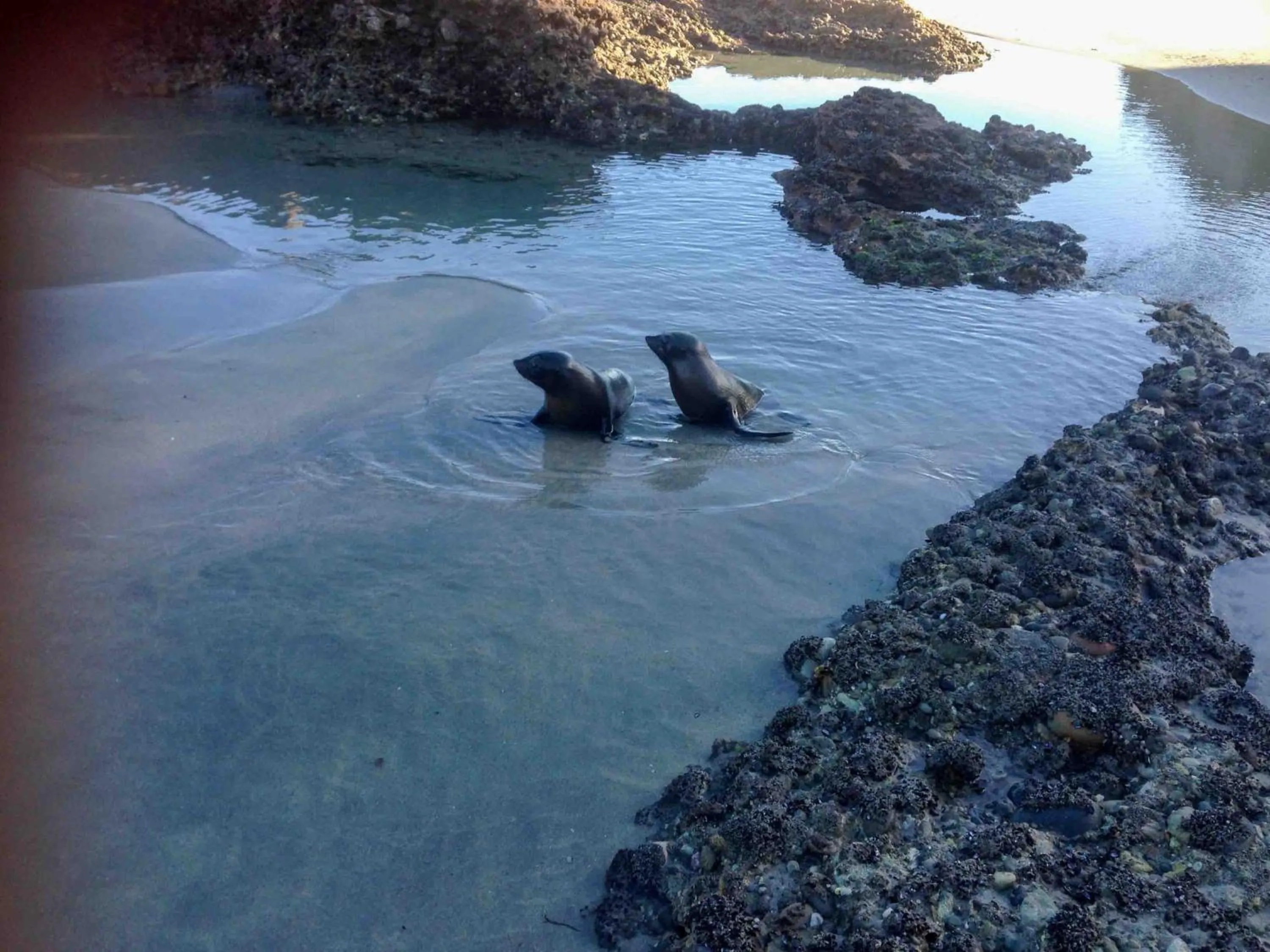 The Station House Motel