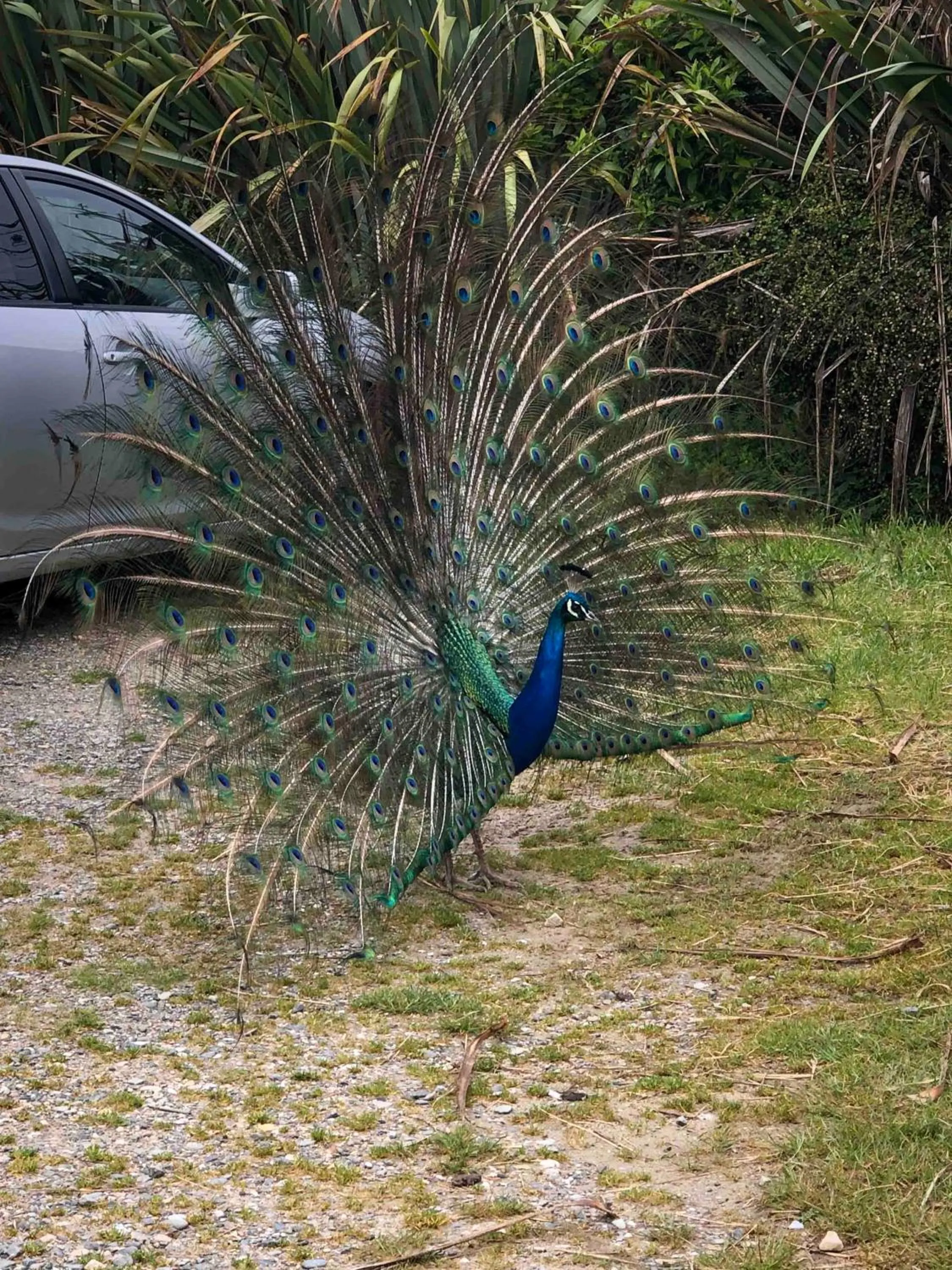 The Station House Motel