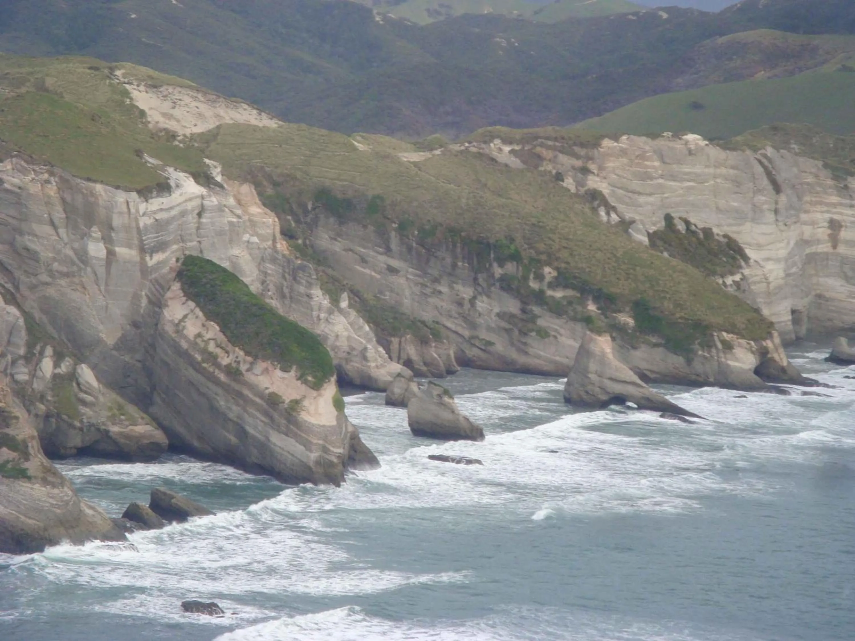 The Station House Motel